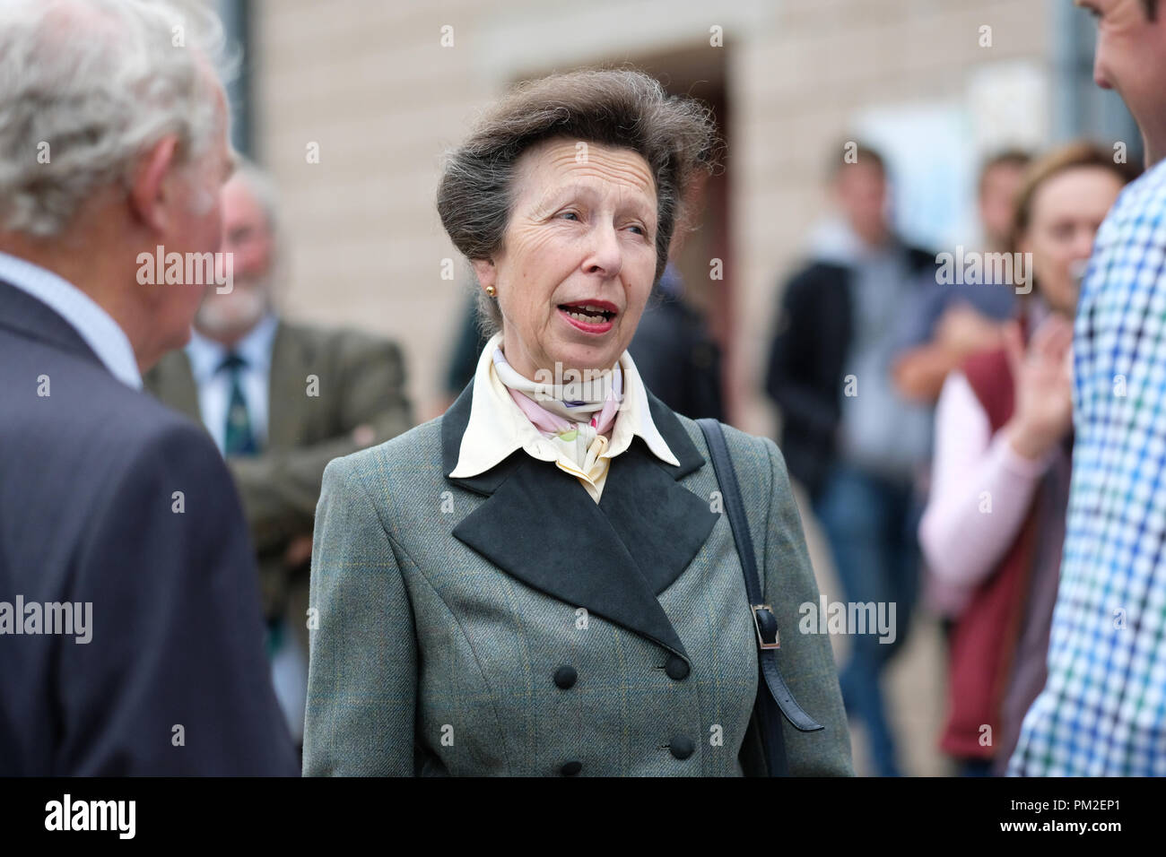 Royal Welsh Showground, Builth Wells, Powys, Galles - Lunedì 17 Settembre 2018 - HRH Principessa Anne soddisfa i banditori al quarantesimo Annuale Nazionale della Associazione di pecora del Galles e della Frontiera di Ram vendite - oltre 5.000 rams saranno messe all'asta oggi a questo grande evento di NSA. Foto Steven Maggio / Alamy Live News Foto Stock