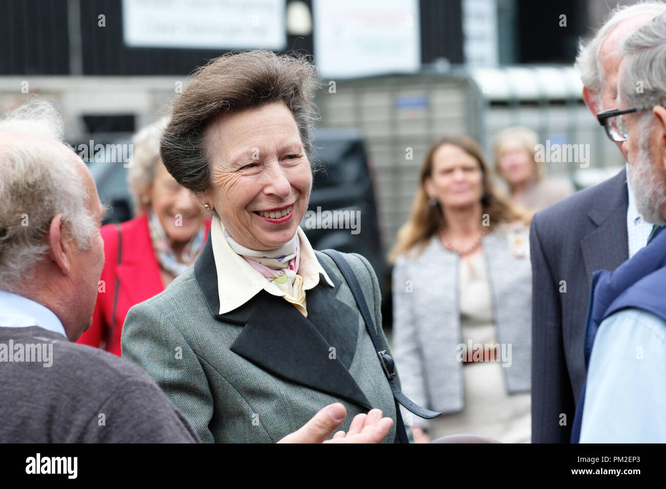 Royal Welsh Showground, Builth Wells, Powys, Galles - Lunedì 17 Settembre 2018 - Anne HRH The Princess Royal assiste il quarantesimo Annuale Nazionale della Associazione di pecora del Galles e della Frontiera di Ram vendite - oltre 5.000 rams saranno messe all'asta oggi a questo grande evento di NSA. Foto Steven Maggio / Alamy Live News Foto Stock