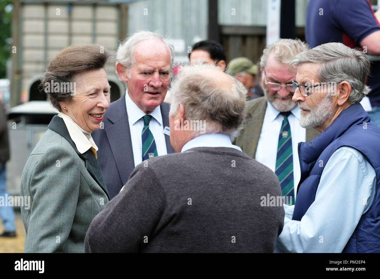 Royal Welsh Showground, Builth Wells, Powys, Galles - Lunedì 17 Settembre 2018 - Anne HRH The Princess Royal assiste il quarantesimo Annuale Nazionale della Associazione di pecora del Galles e della Frontiera di Ram vendite - oltre 5.000 rams saranno messe all'asta oggi a questo grande evento di NSA. Foto Steven Maggio / Alamy Live News Foto Stock