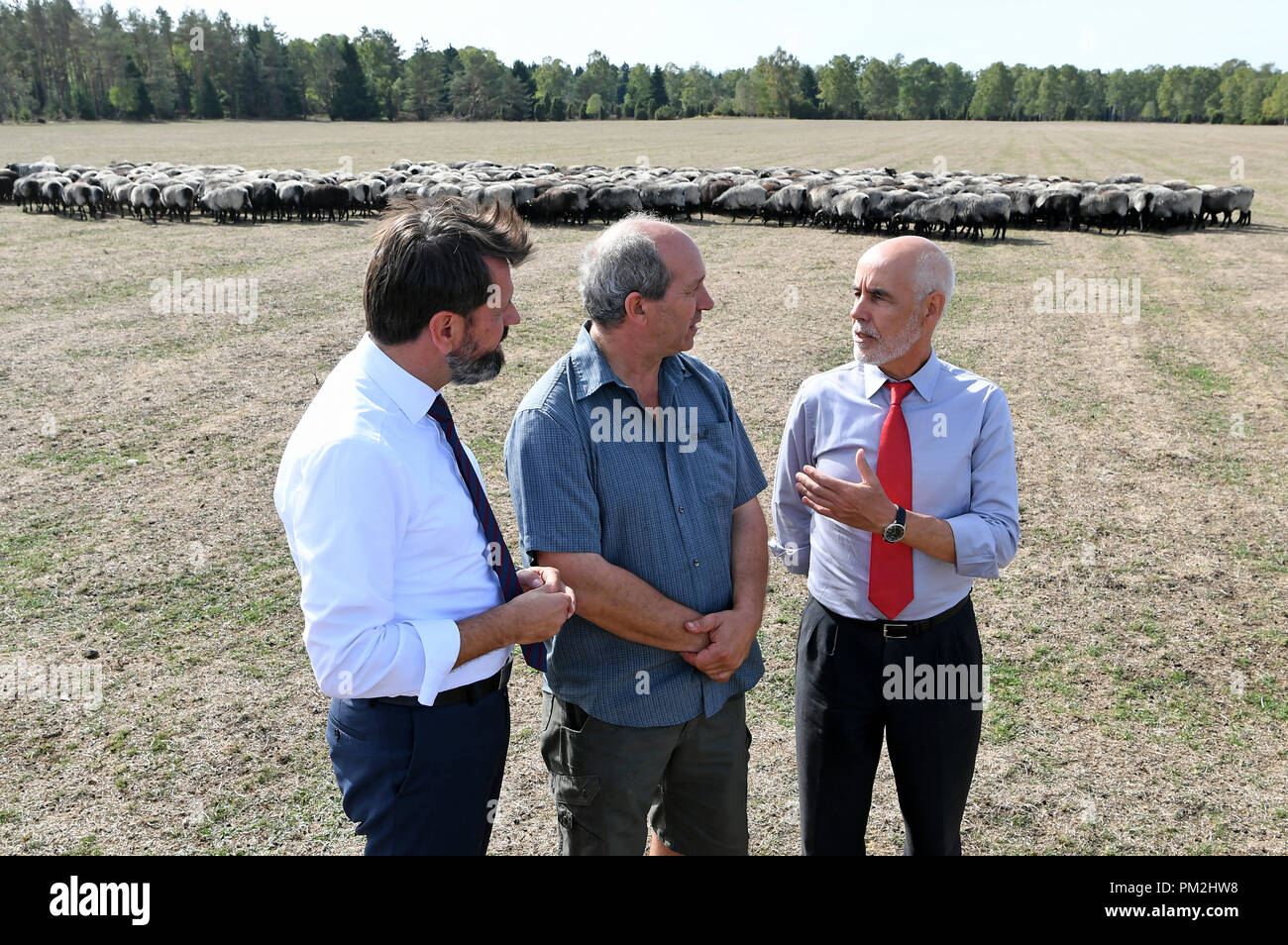 17 settembre 2018, Bassa Sassonia, Fassberg: Humberto Delgado Rosa (R), Direttore della Direzione generale Ambiente della Commissione europea, e l'Olaf si trova (SPD, L), Ministro dell'ambiente della Bassa Sassonia, parlando di Allevatore ovino Carl Kuhlmann su un pascolo di ovini in Lueneburg Heath. In occasione della riunione, i problemi e le soluzioni relativi ai lupi di ritorno sono stati discussi. Foto: Holger Hollemann/dpa Foto Stock
