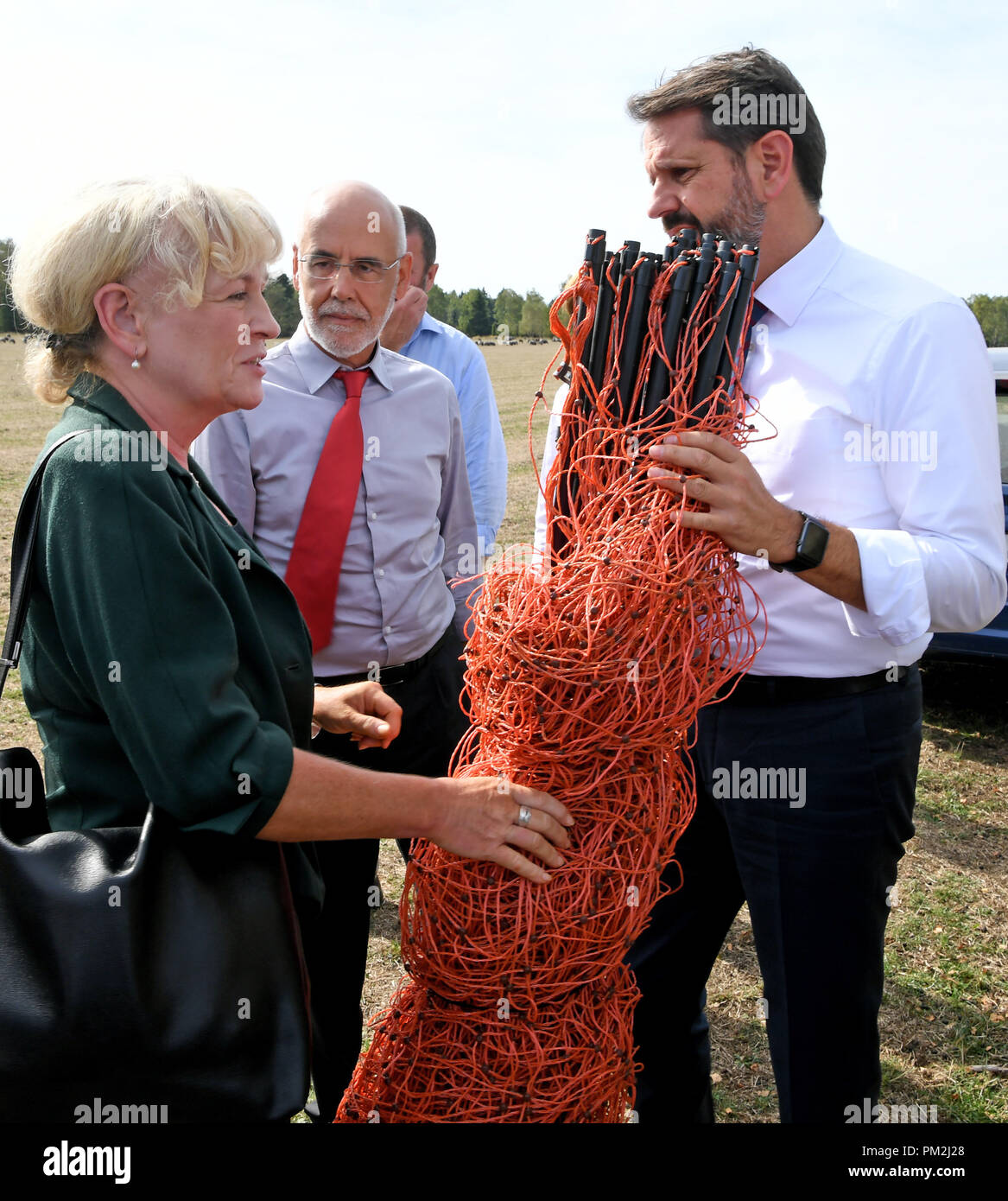 17 settembre 2018, Bassa Sassonia, Fassberg: Olaf giace (SPD, R), Ministro dell'ambiente della Bassa Sassonia, Benate Jessel (L), Presidente dell'Agenzia federale per la conservazione della natura e Humberto Delgado Rosa (C), Direttore della Direzione generale Ambiente della Commissione europea e di essere informato su un recinto elettrico per un pascolo di ovini in Lueneburg Heath. In occasione della riunione, i problemi e le soluzioni relativi ai lupi di ritorno sono stati discussi. Foto: Holger Hollemann/dpa Foto Stock