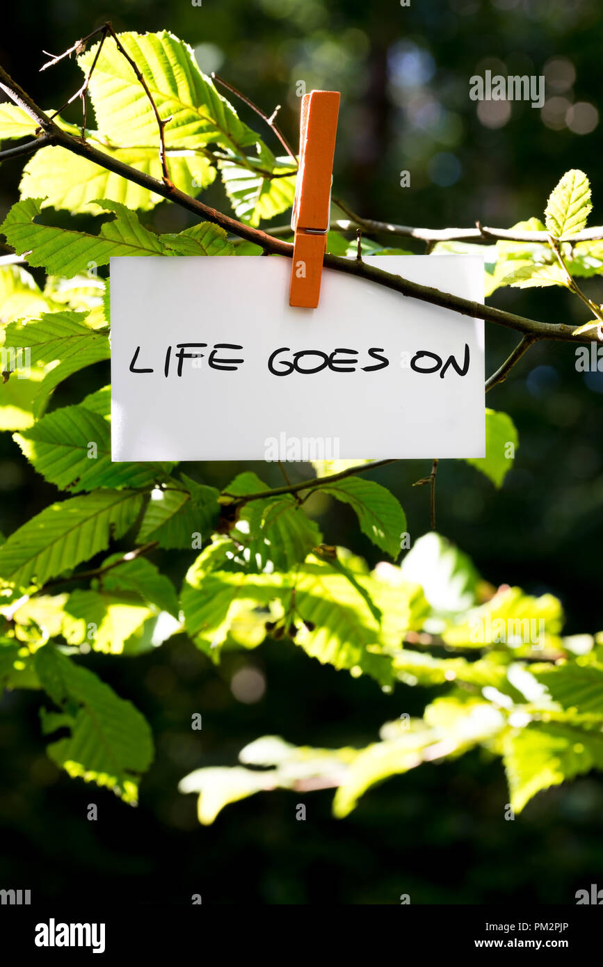La vita va sul messaggio di ispirazione scritta su una carta bianca appeso su una foglia verde ramo di legno molletta da bucato. Foto Stock