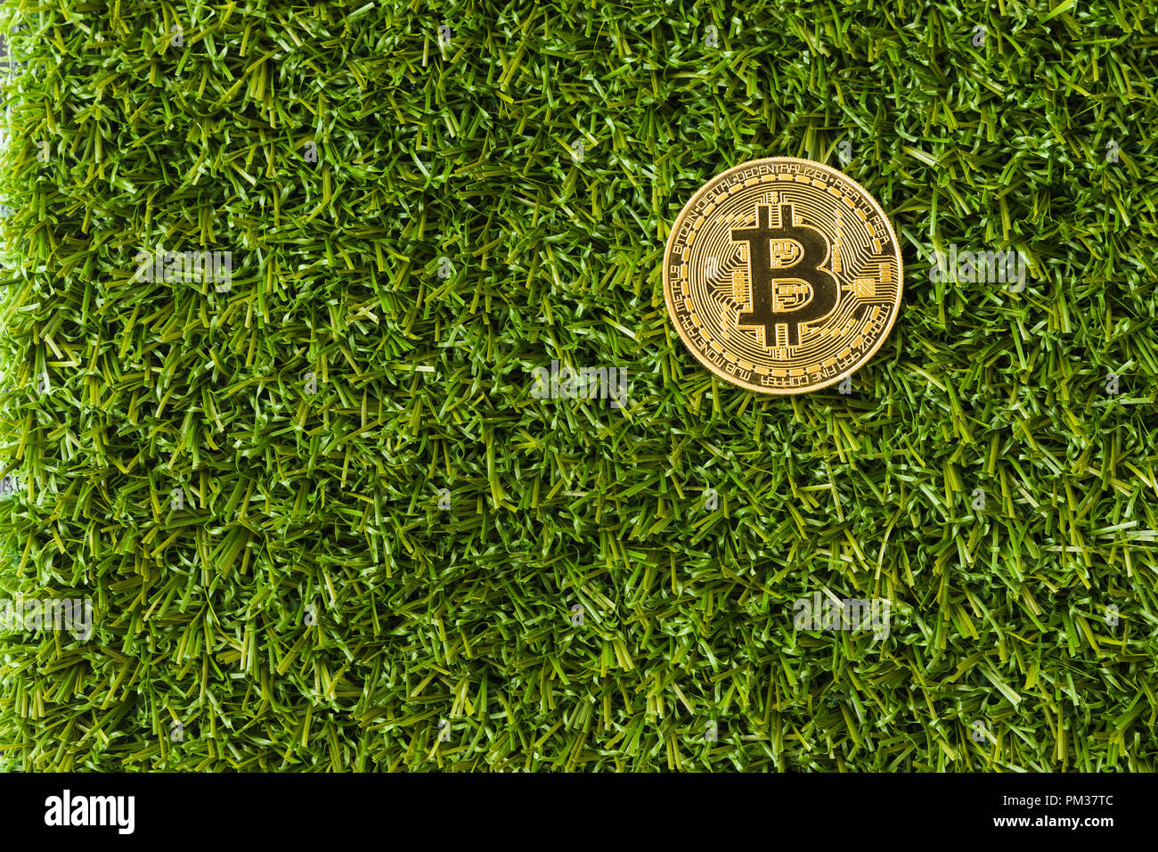 Un Bitcoin Cryptocurrency Bit digitale medaglia BTC valuta la tecnologia Internet Business concetto. Bitcoin in erba Foto Stock