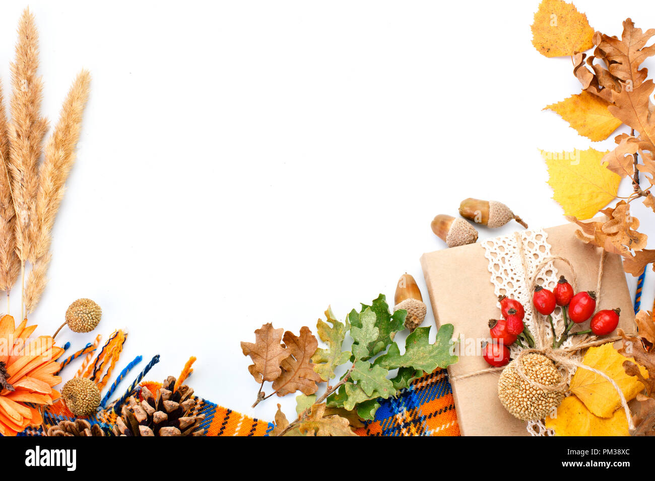 Felice giorno del Ringraziamento dello sfondo. Sfondo bianco decorato con zucche, mais, frutta e foglie di autunno. Festa d'autunno. Harvest Festival. La vista dall'alto. Orizzontale. Foto Stock
