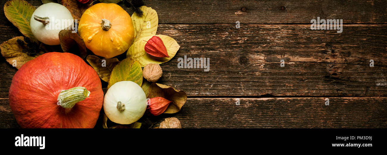 Autumn harvest e vacanze ancora in vita. Felice ringraziamento Banner. Selezione di diverse varietà di zucche sul legno scuro dello sfondo. Autunno ortaggi e seaso Foto Stock