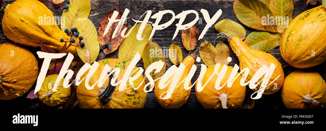 Felice ringraziamento Banner. Selezione di diverse varietà di zucche sul legno scuro dello sfondo. Autunno ortaggi e decorazioni stagionali concetto. Bella Autu Foto Stock
