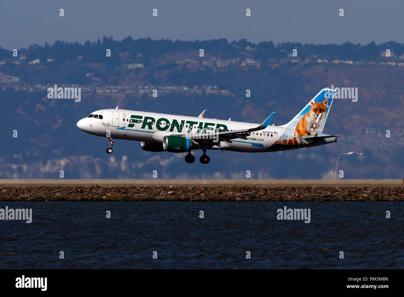 Airbus A320-214 (N229FR) operati da compagnie aeree di frontiera con il che ricordano le pesche la livrea Fox atterraggio all'Aeroporto Internazionale di San Francisco (KSFO), San Francisco, California, Stati Uniti d'America Foto Stock