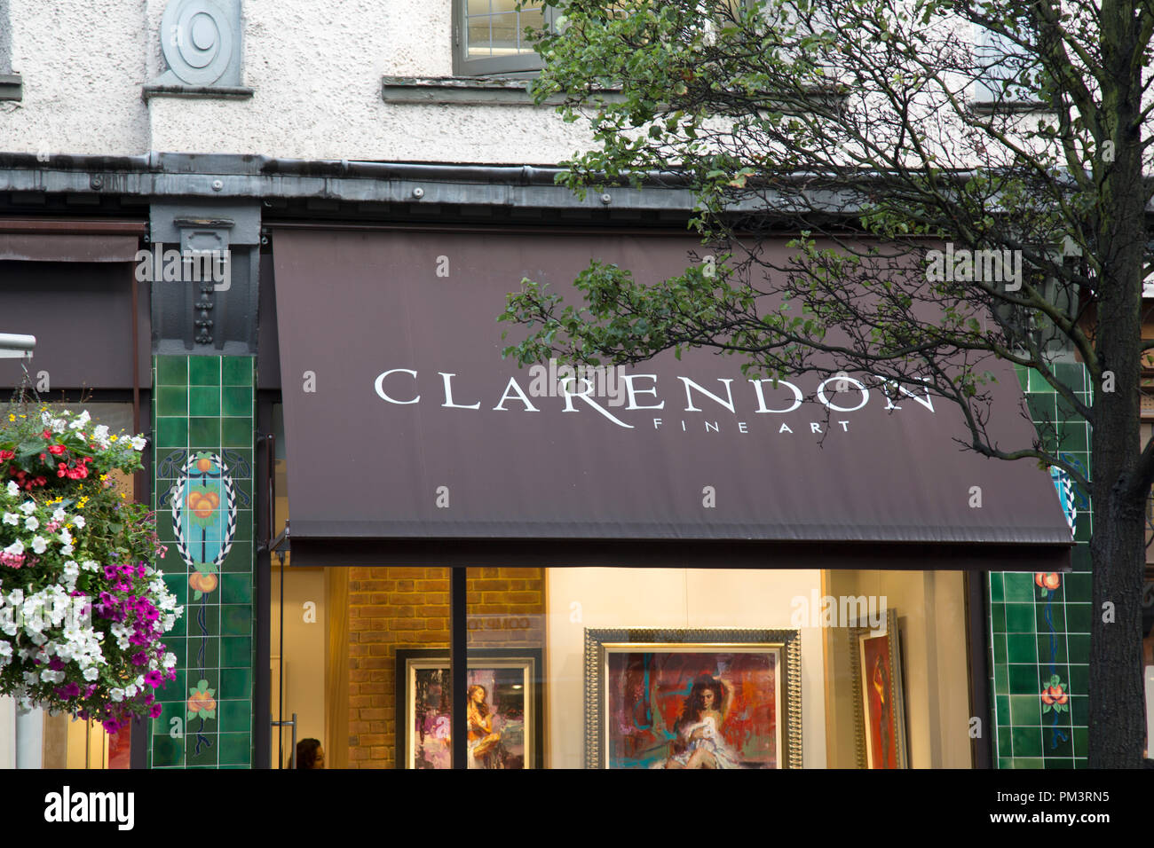 Clarendon Fine Art Gallery, Kings Road, a Chelsea, Londra Foto Stock