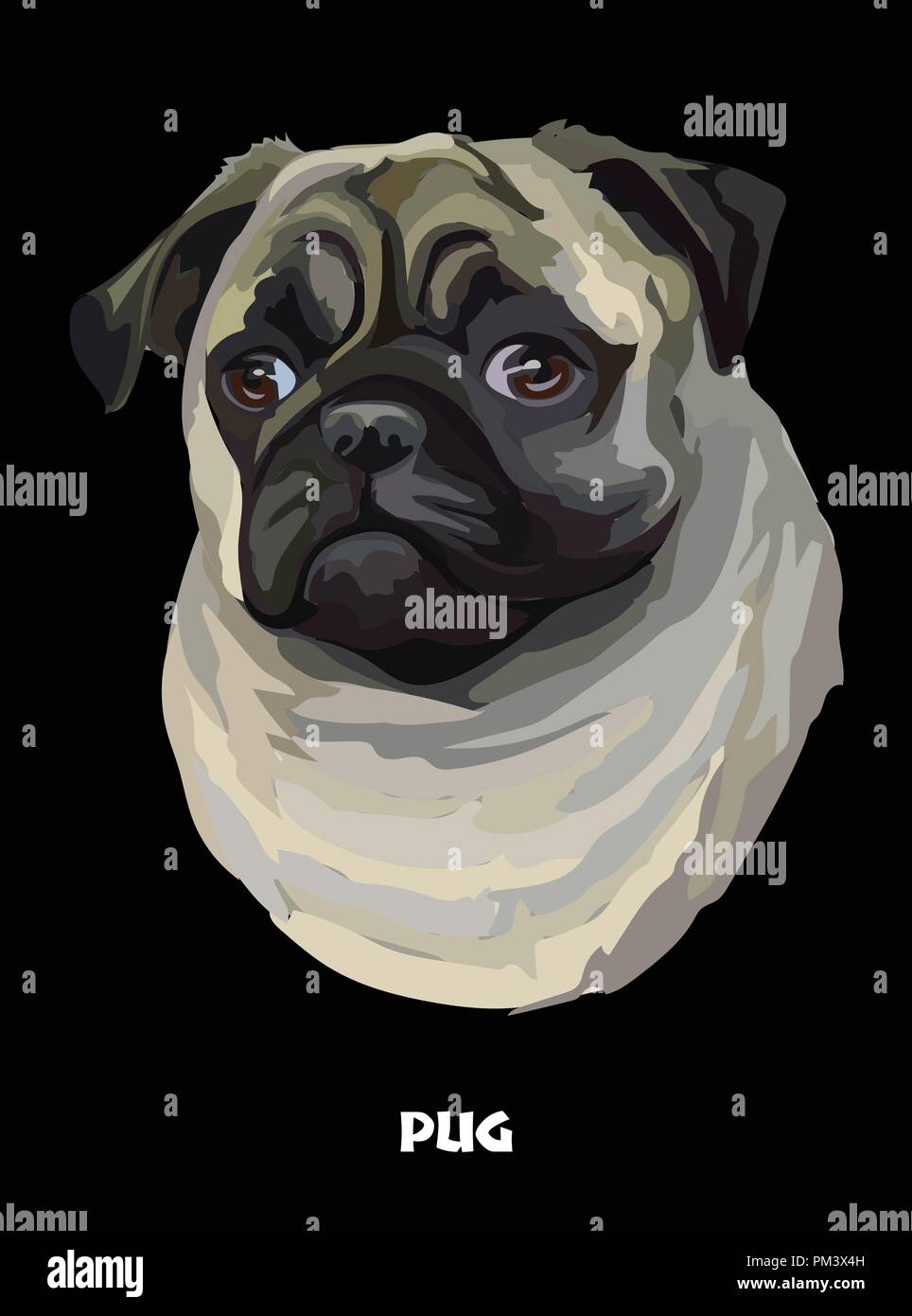 Ritratto colorato di Pug isolato illustrazione vettoriale su sfondo nero Illustrazione Vettoriale