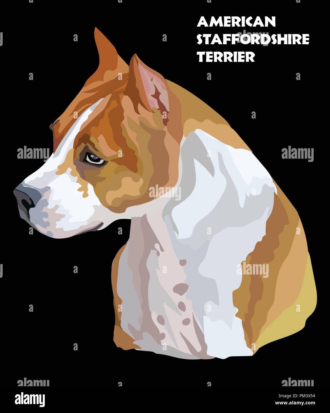 Ritratto colorato di American Staffordshire Terrier isolato illustrazione vettoriale su sfondo nero Illustrazione Vettoriale