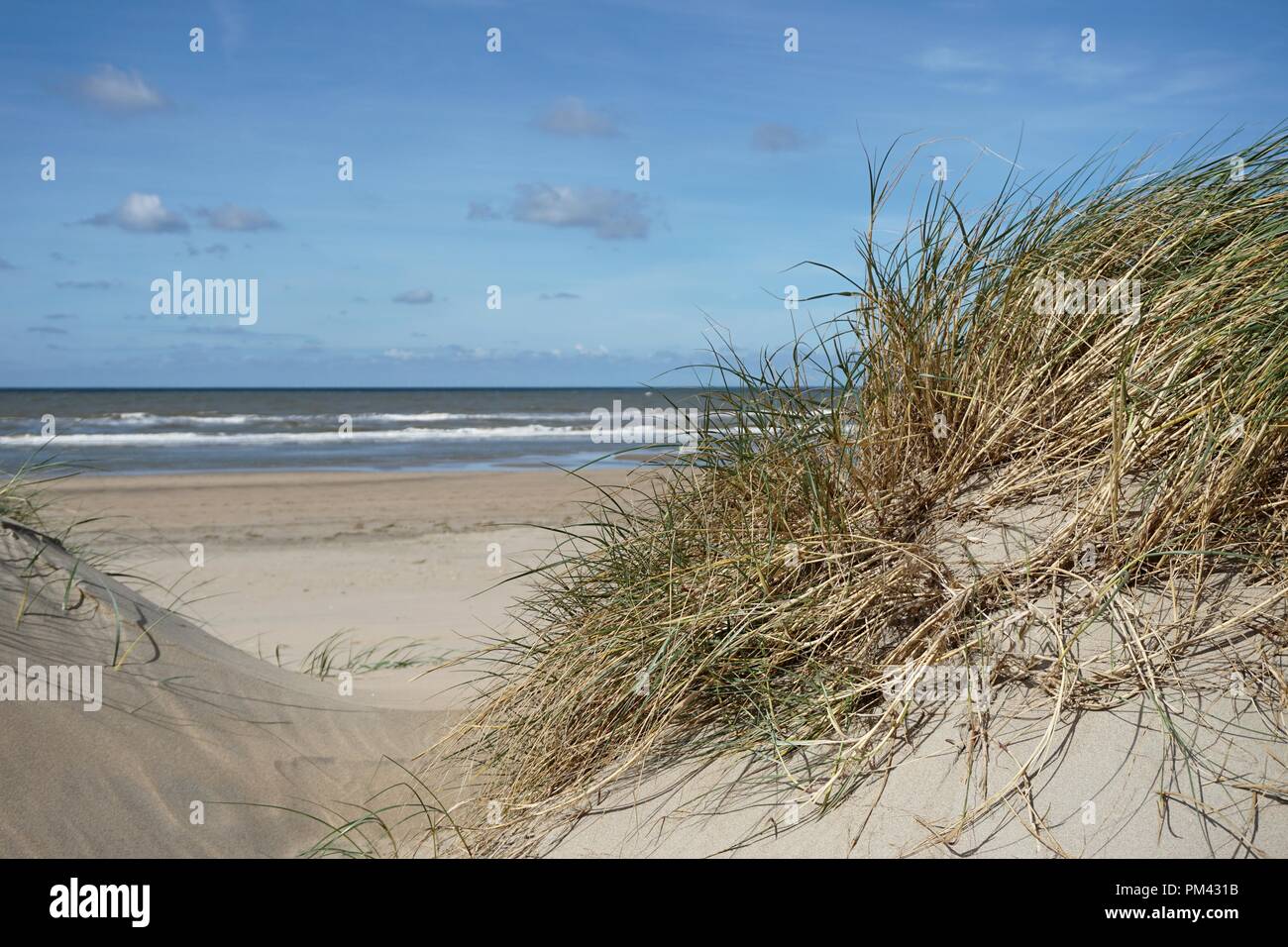 Dune di sabbia con erba a nord mare Foto Stock