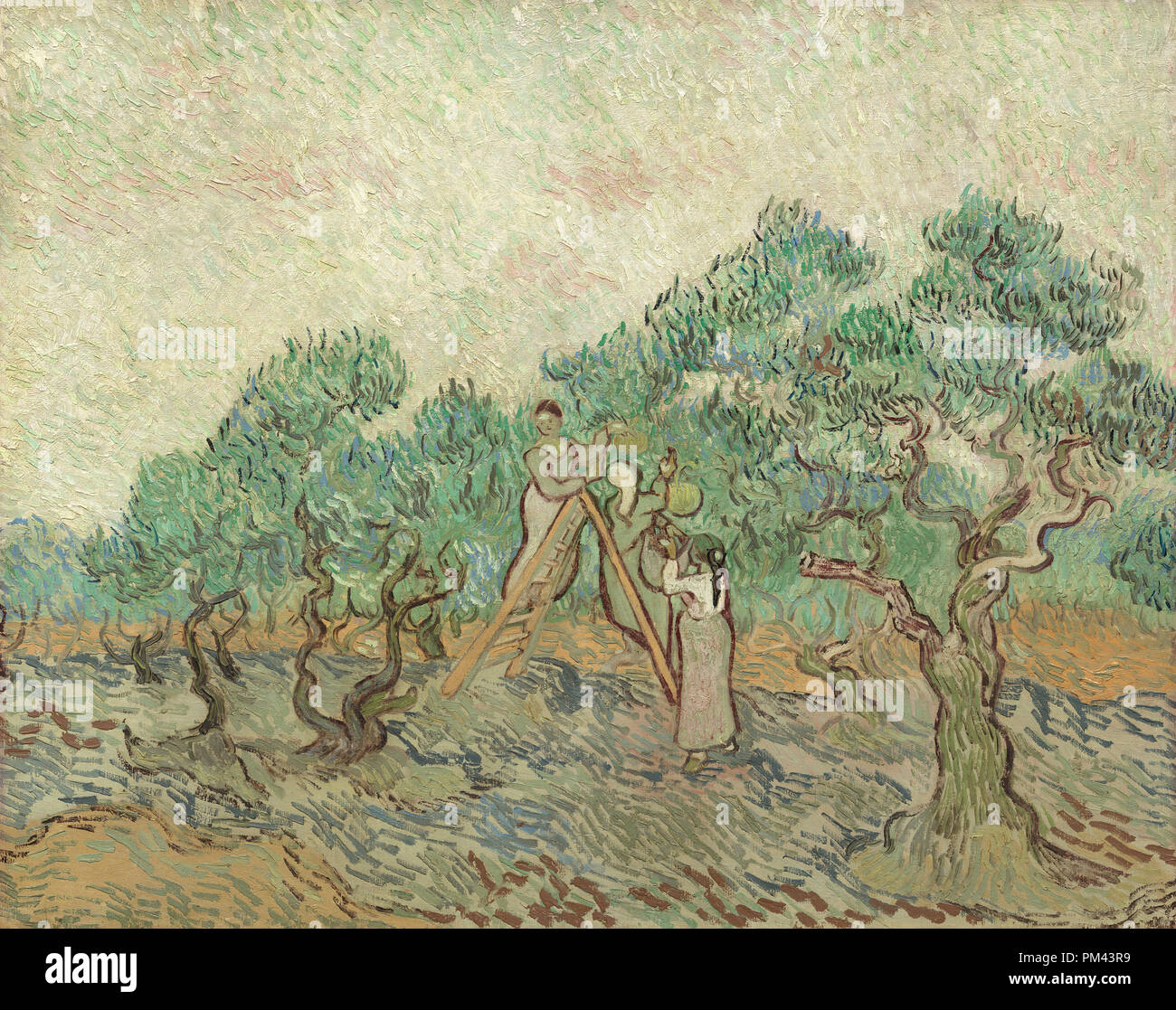 I campi di olivi. Data: 1889. Dimensioni: complessivo: 73 × 92 cm (28 3/4 × 36 1/4 in.) incorniciato: 97,5 x 114.9 x 10.1 cm (38 3/8 x 45 1/4 x 4 in.). Medium: olio su tela. Museo: National Gallery of Art di Washington DC. Autore: Vincent van Gogh. Foto Stock