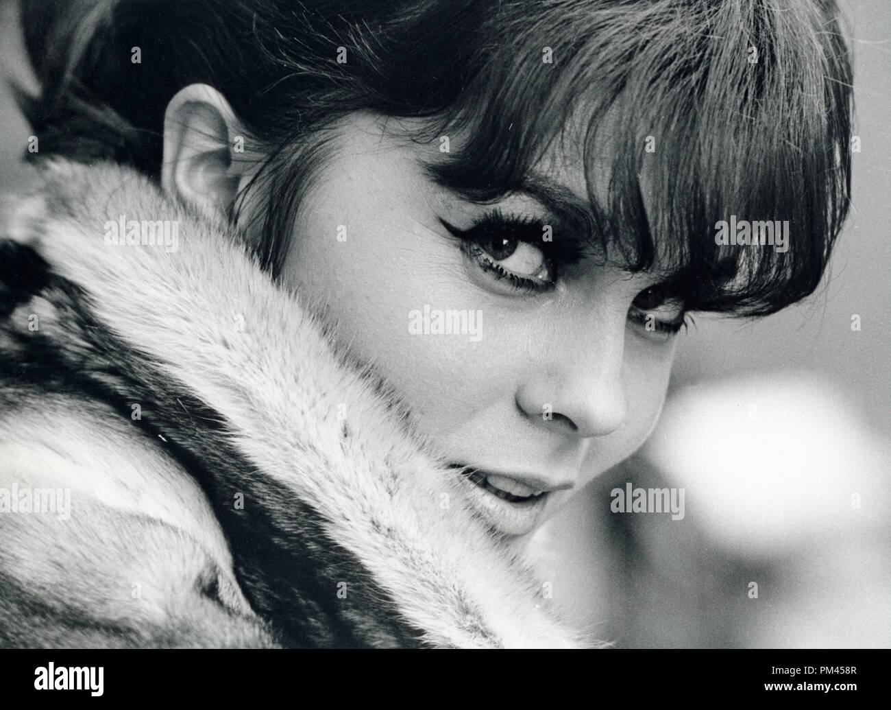 Ann-Margret, dicembre1966. Riferimento al file #1033 004THA © CCR /Hollywood Archivio - Tutti i diritti riservati. Foto Stock
