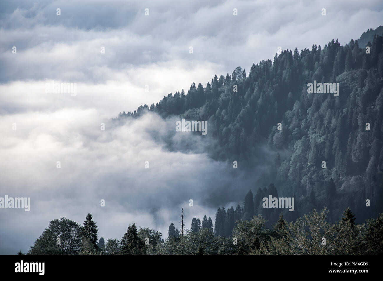 Incredibile vista aerea del freddo misty mountains.Cloud e il paesaggio forestale. Foto Stock
