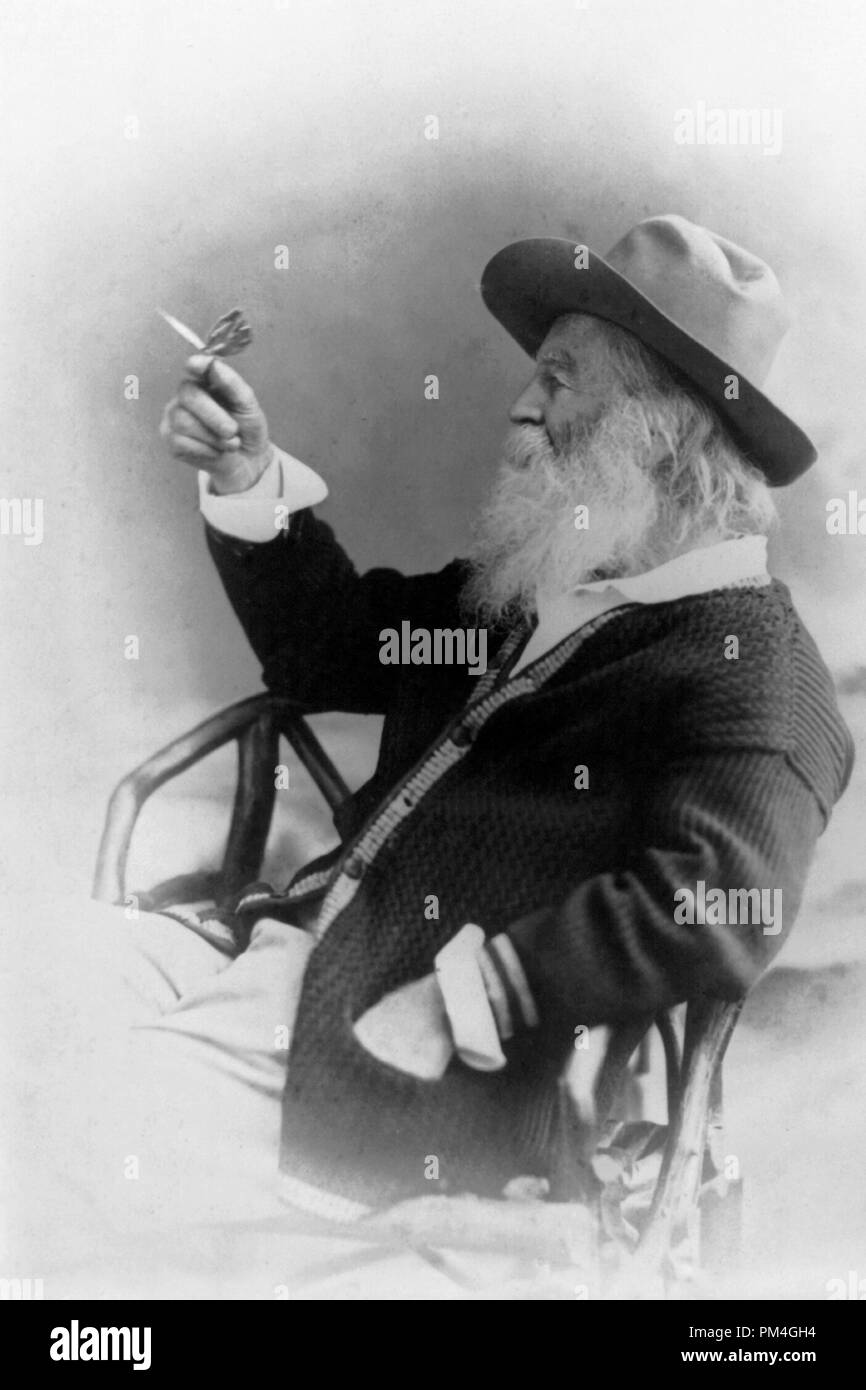 Walt Whitman, mezza lunghezza ritratto, seduto, rivolto verso sinistra, indossare un cappello e un maglione, tenendo butterfly, 1873. Riferimento al file # 1003 016THA Foto Stock