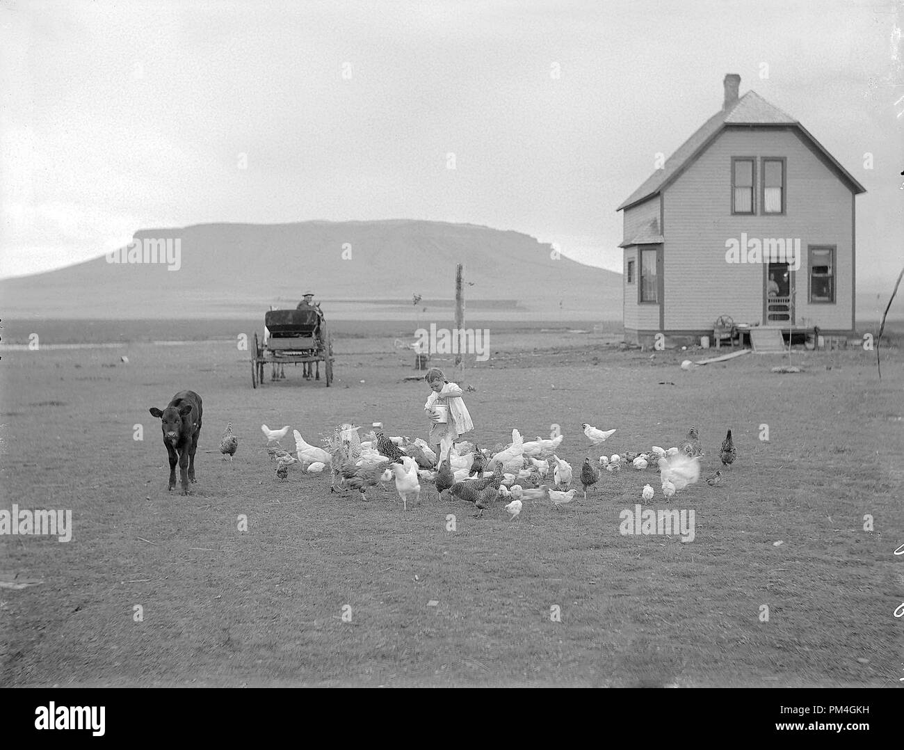 Hancock homestead, 23 luglio, 1910. Decantatore da Benson, Minn. Sun River Project, Montana. Riferimento al file # 1003 049 - THA Foto Stock