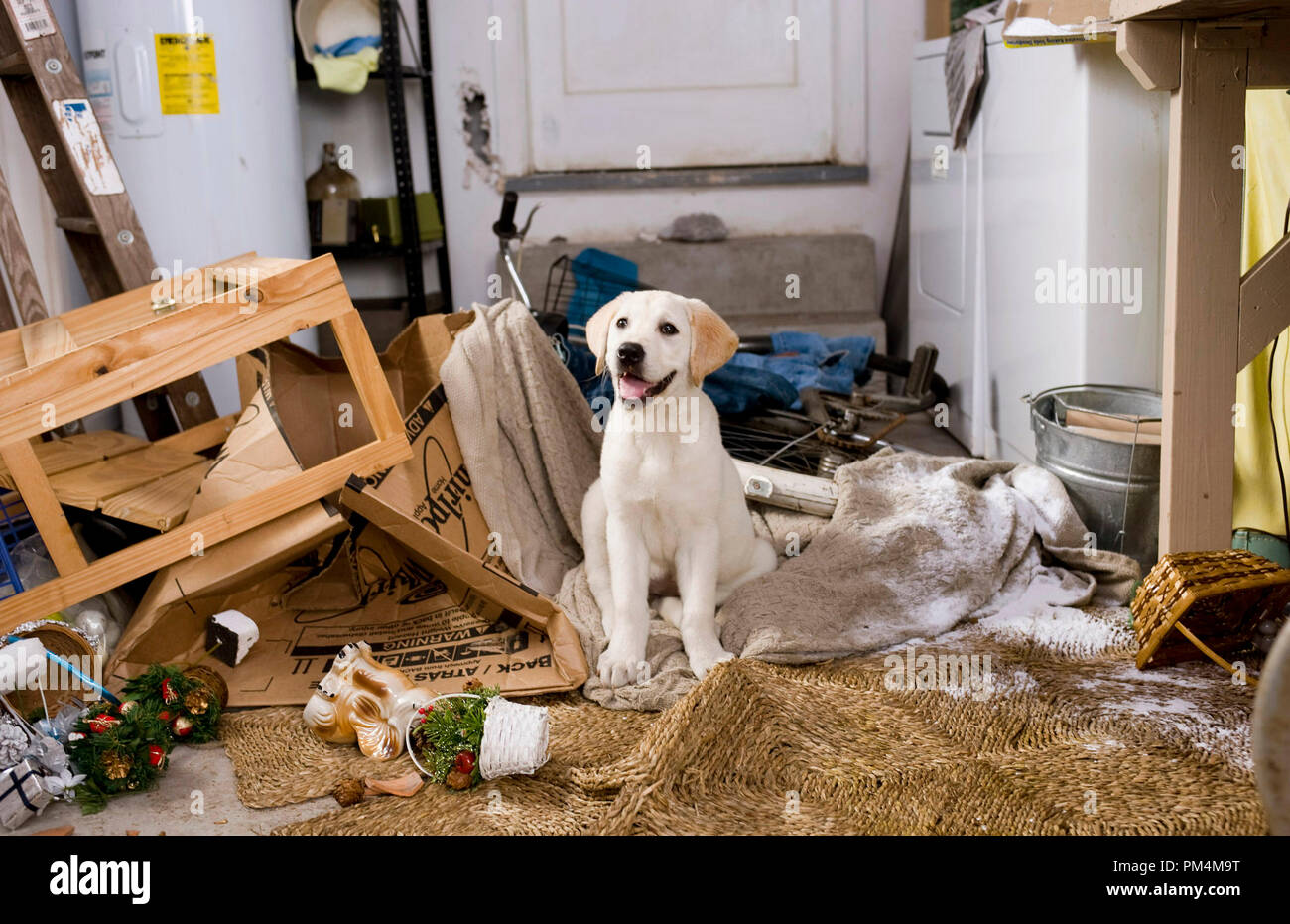 Marley prende una pausa dopo la demolizione del Grogan's garage. Foto Stock