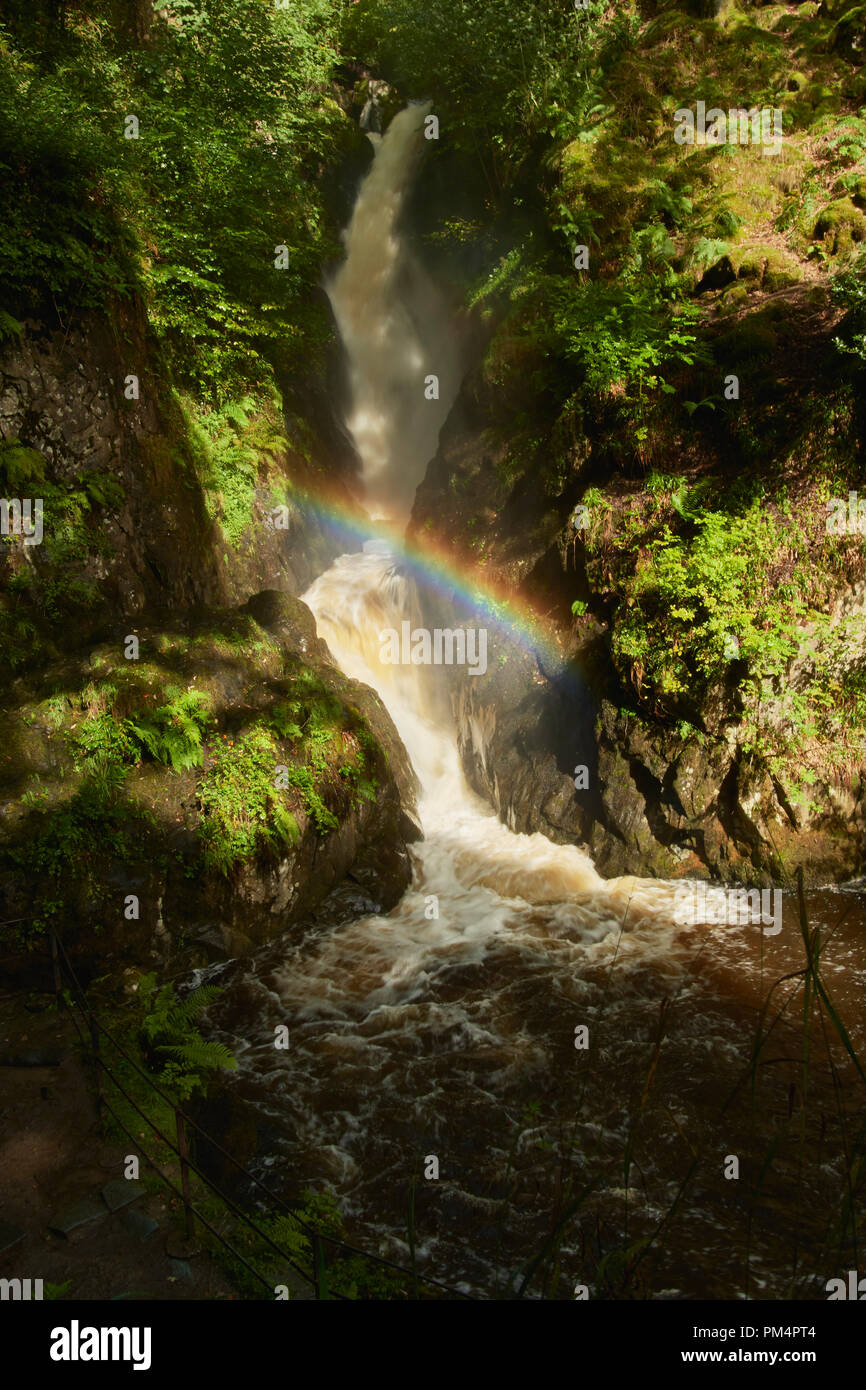 Aira Force cascata sull'Aira Beck, Parco Nazionale del Distretto dei Laghi, Cumbria, England, Regno Unito Foto Stock