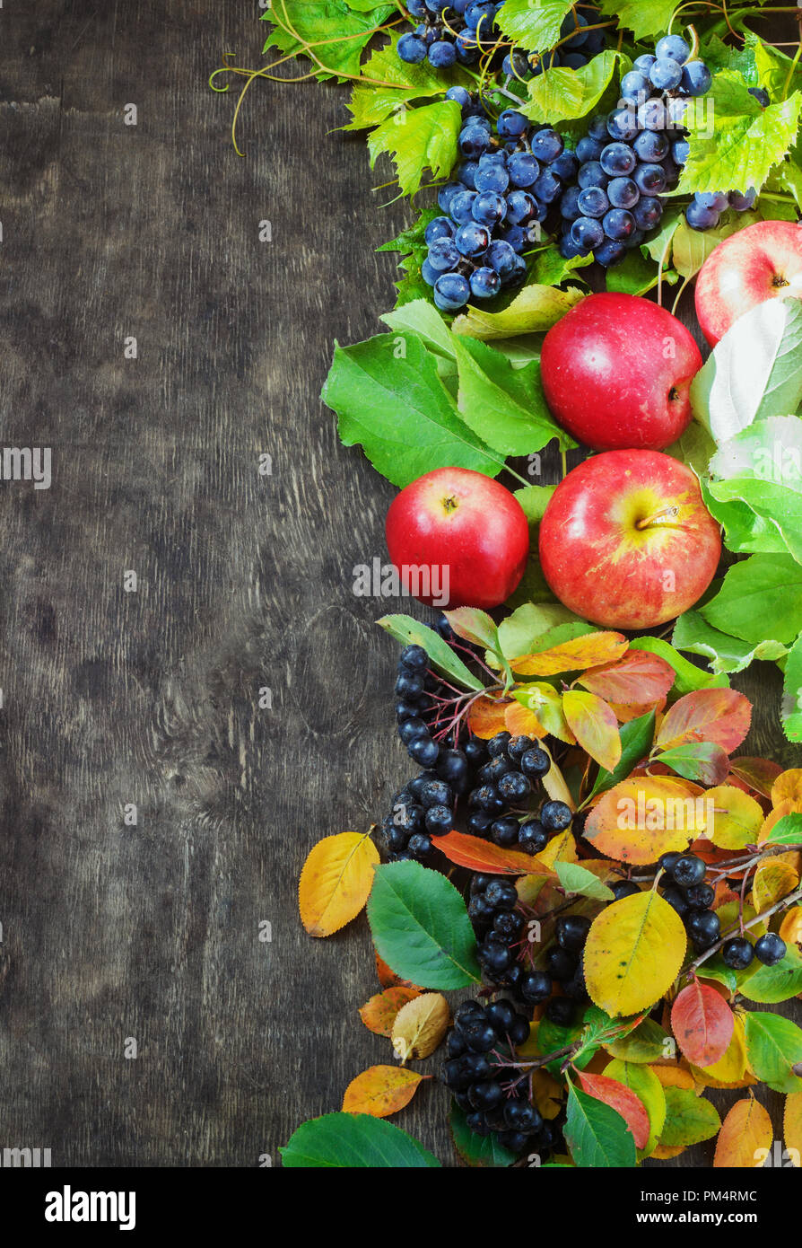 Assortimento frutta organica acini di uva apple damasceno rowanberry legno scuro dello sfondo del paese di cura di salute concetto naturale vista superiore Foto Stock