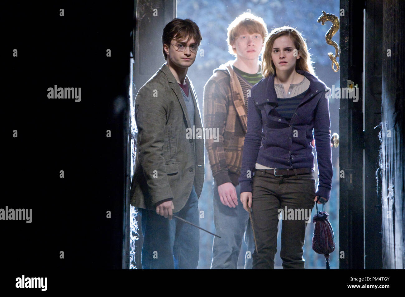 Harry potter hermione ron immagini e fotografie stock ad alta risoluzione -  Alamy