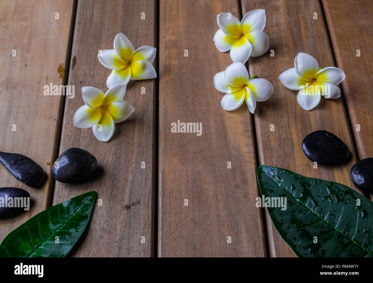 Plumeria fiori e delle pietre nere rotonde sulla superficie di legno Foto Stock