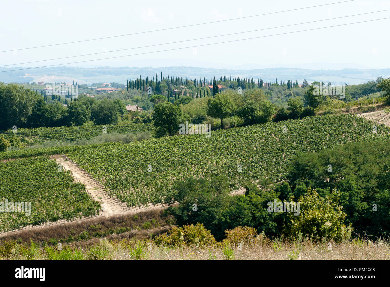 Campagna toscana Foto Stock