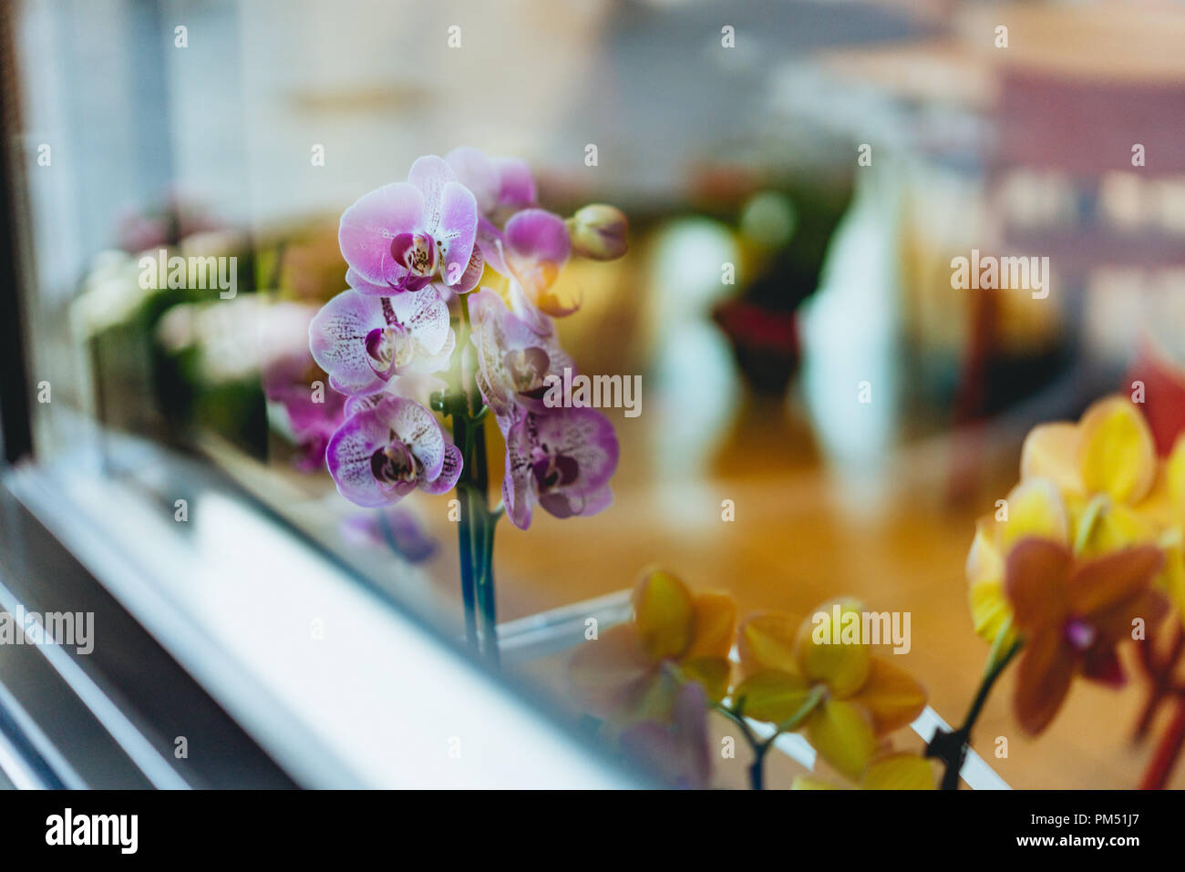 Fiori sul display attraverso una finestra in una bella impostazione di office Foto Stock