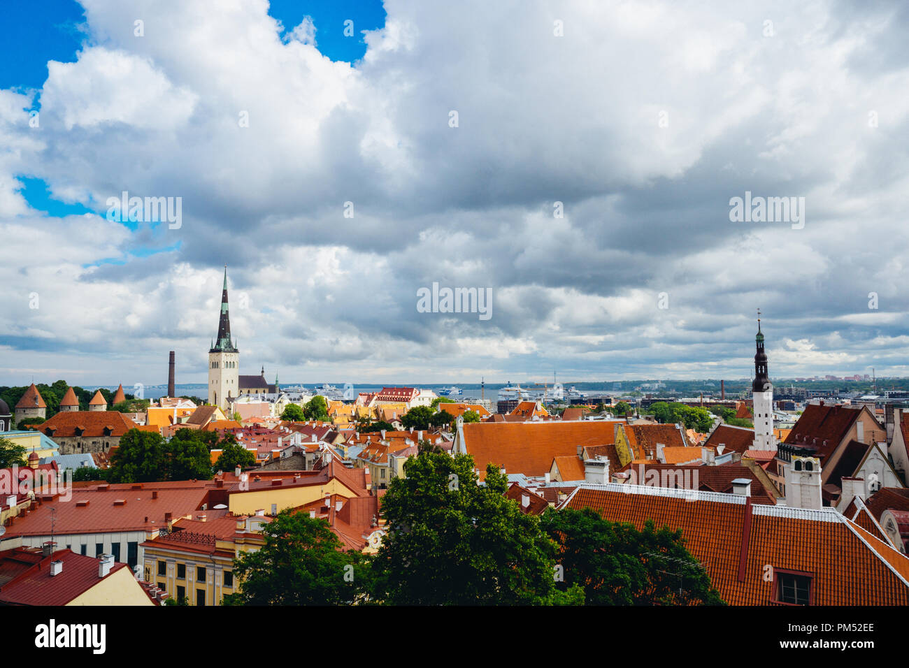 Tallinn, Estonia paesaggio urbano del centro storico medioevale Foto Stock