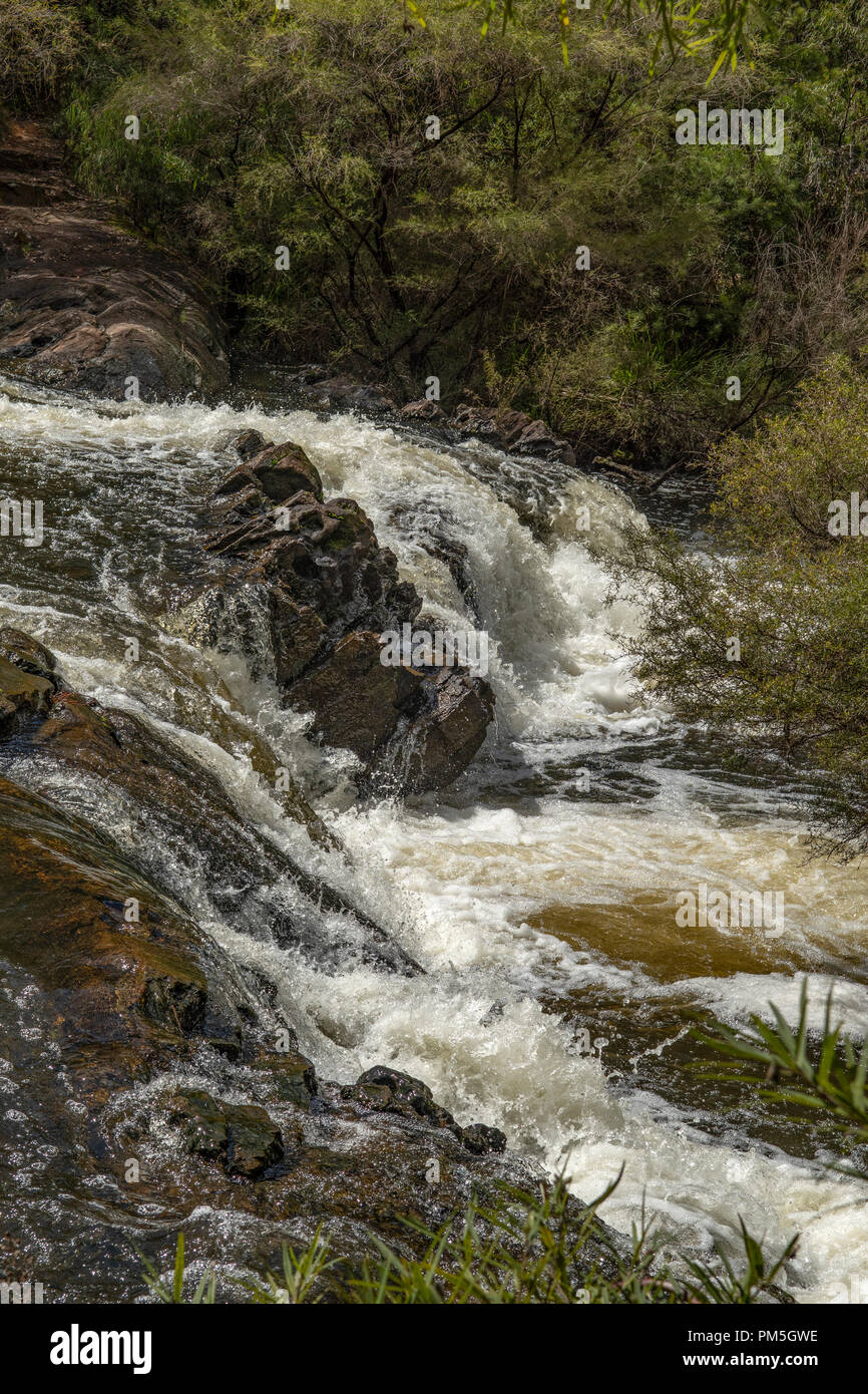 Il Cascades, Gloucester National Park, Pemberton, WA, Australia Foto Stock