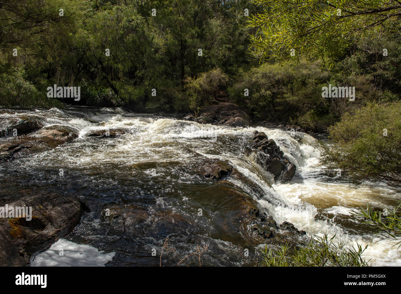 Il Cascades, Gloucester National Park, Pemberton, WA, Australia Foto Stock