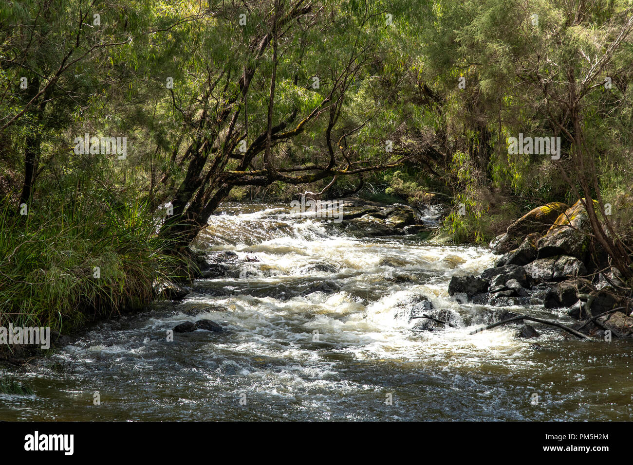 Il Cascades, Gloucester National Park, Pemberton, WA, Australia Foto Stock