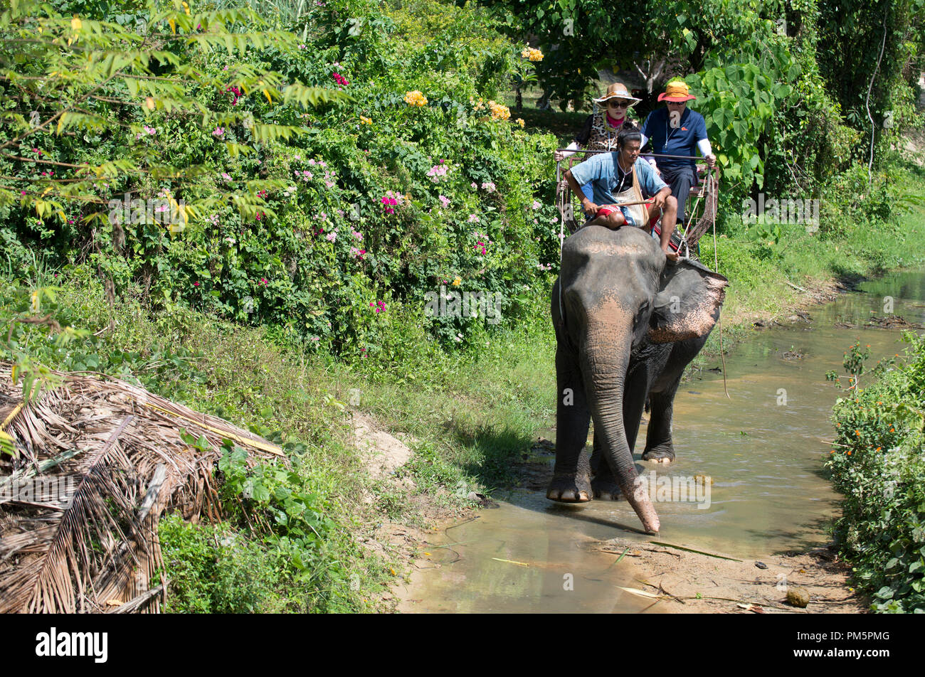 Thailandia; Koh Samui; Elephant (Elephas maximus) con i turisti per un piccolo viaggio di andata e ritorno nella giungla Foto Stock