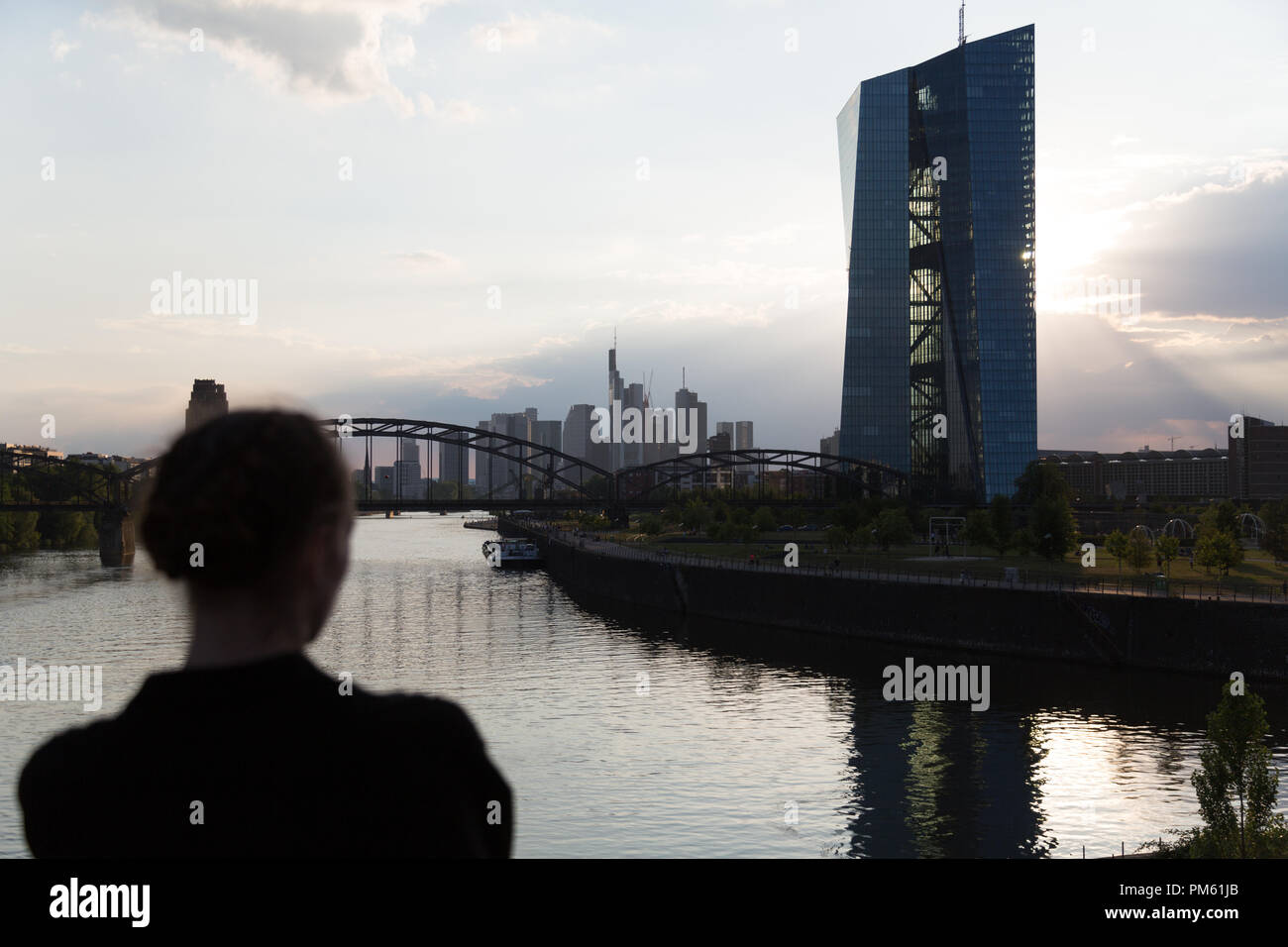 Silhouette di donna che guarda sul fiume Main e Francoforte sullo skyline. Vista posteriore. Persona irriconoscibile. Foto Stock