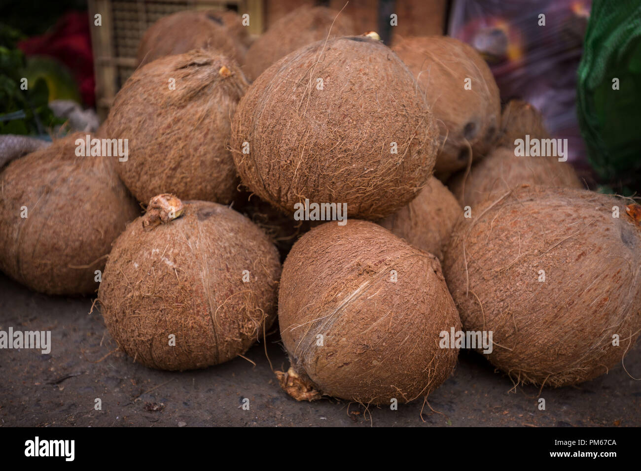Noci di cocco, gruppo di noci di cocco, Pelosa, cibo nativo, frutti tropicali, Foto Stock