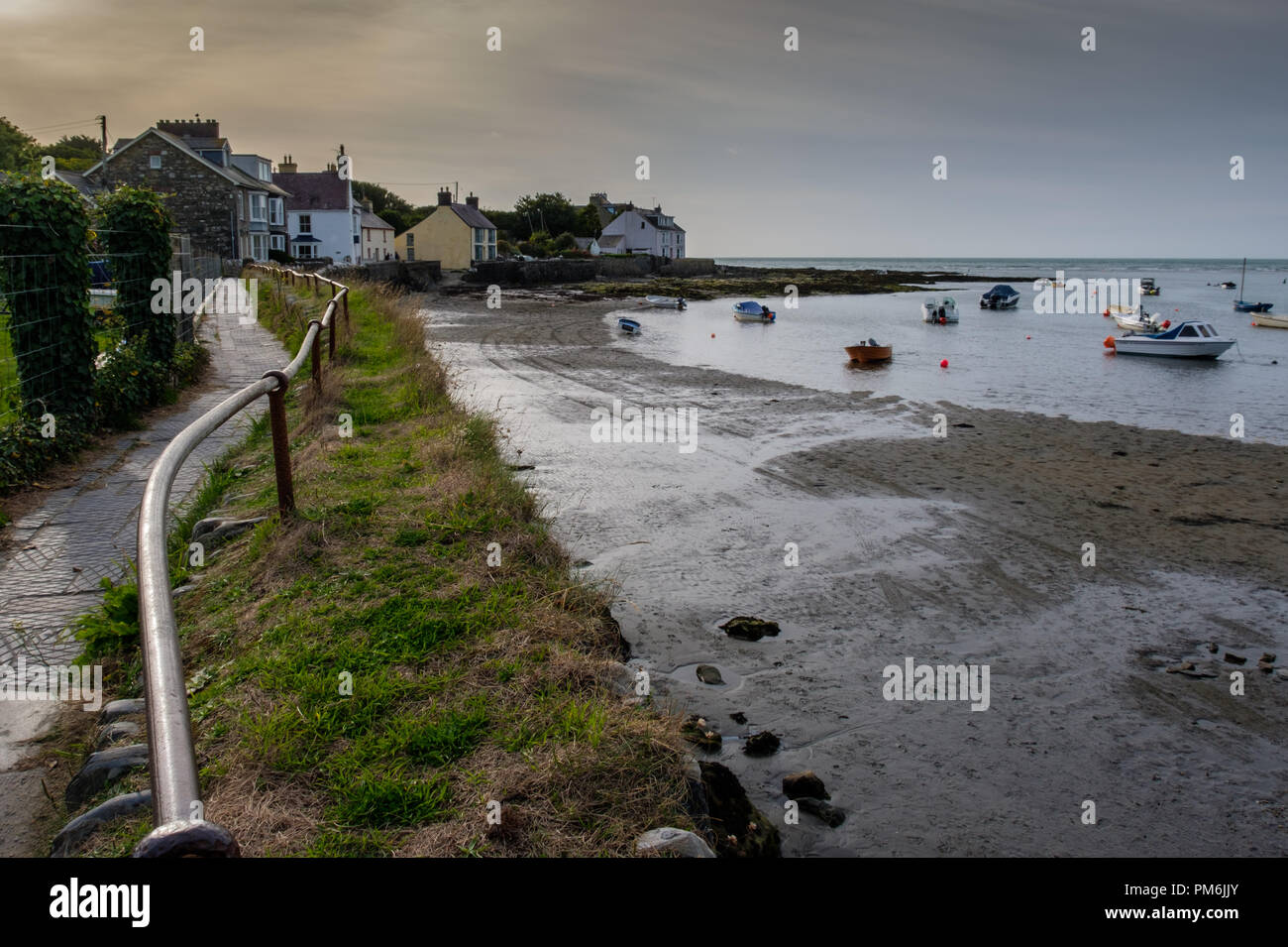 Il sentiero costiero accanto al fiume Nyfer estuario, Newport Pembrokeshire, Galles Foto Stock