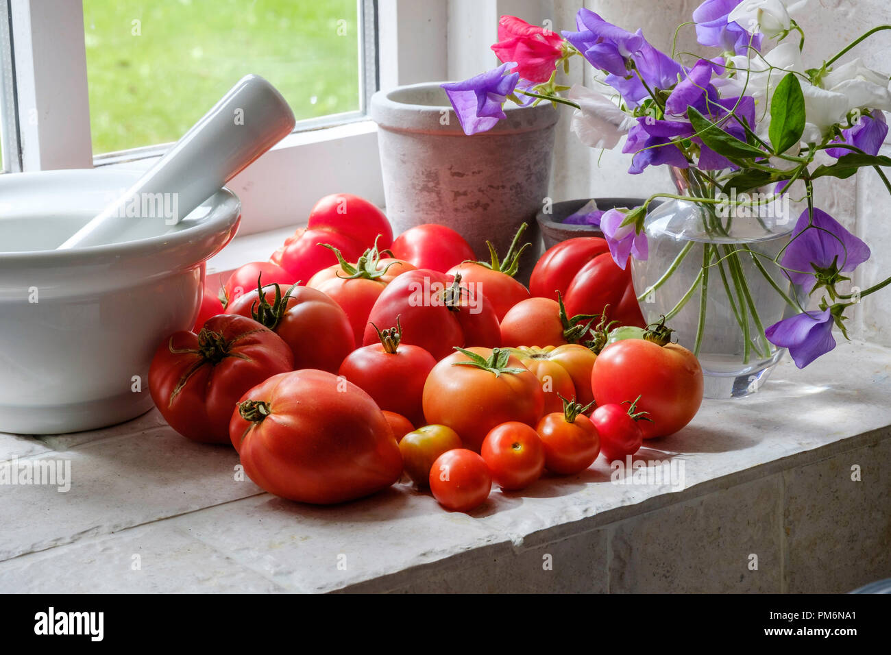 Vari i pomodori maturazione sul davanzale della finestra Gloucestershire England Regno Unito Foto Stock