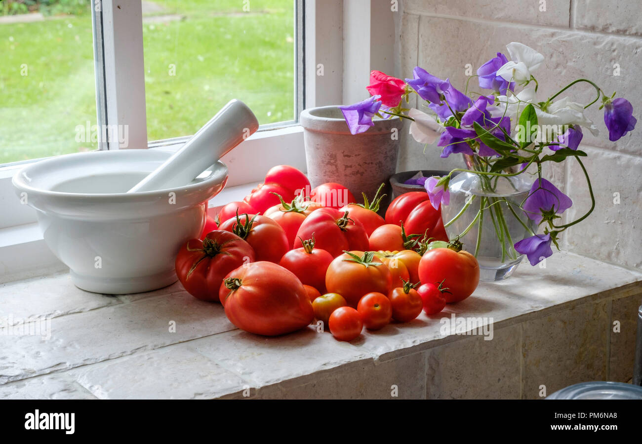 Vari i pomodori maturazione sul davanzale della finestra Gloucestershire England Regno Unito Foto Stock