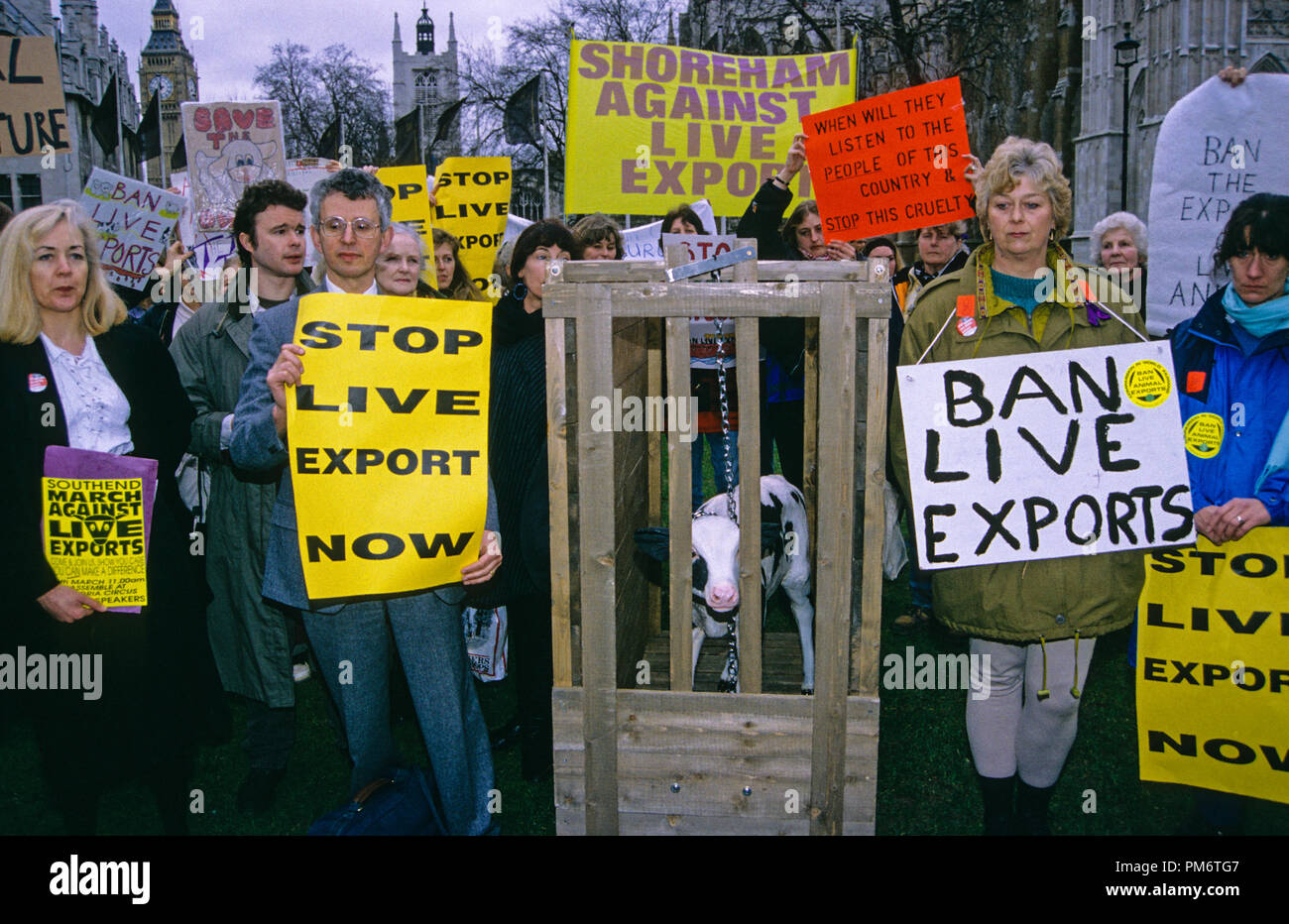 Divieto di esportazione dal vivo i manifestanti, al di fuori della sede del parlamento di Londra, Inghilterra, Regno Unito, GB. Foto Stock