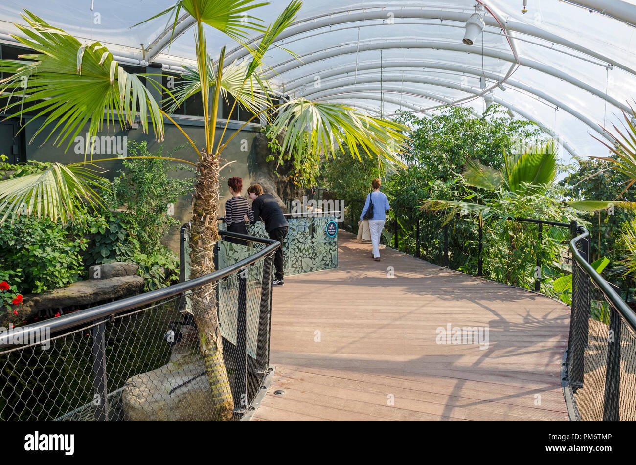 Casa tropicale Marwell zoo Foto Stock