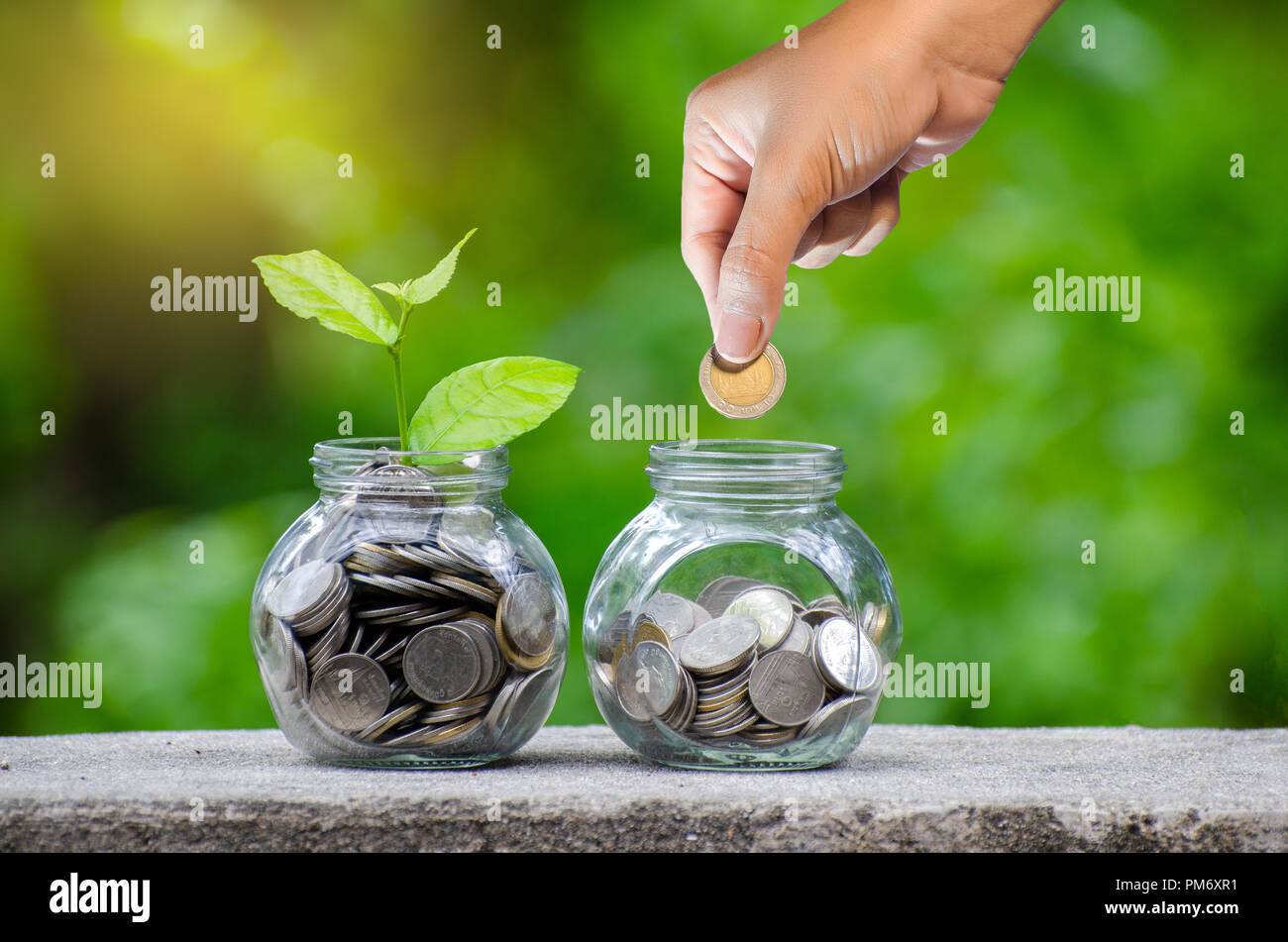 Mettere mano denaro banconote in bottiglia tree immagine della banconota con coltivazione di piante in alto per il business green fondo naturale di risparmiare denaro e investimenti fi Foto Stock