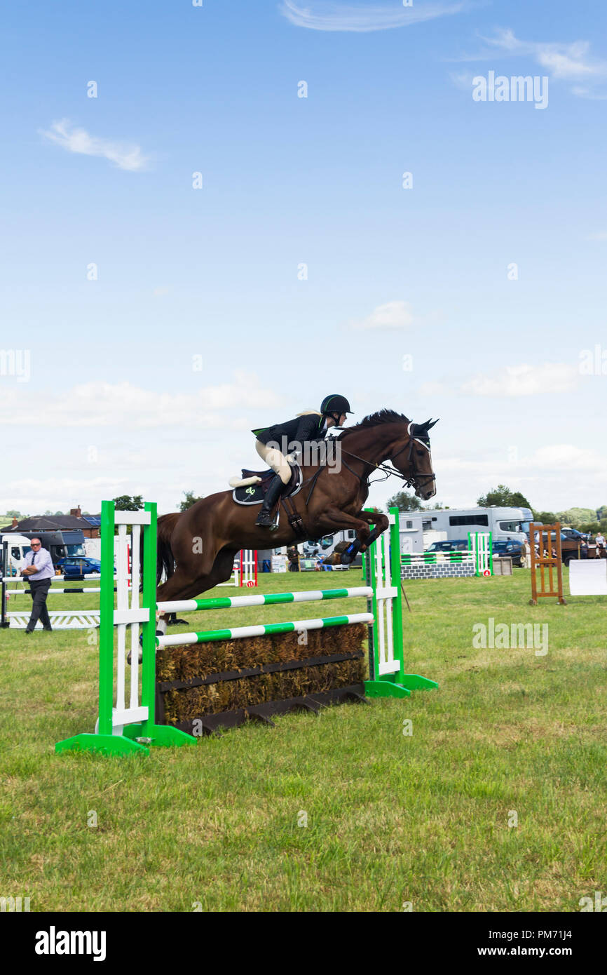 Cavallo e cavaliere in un show jumping concorrenza presso il Arthington show, West Yorkshire nel 2017. Foto Stock