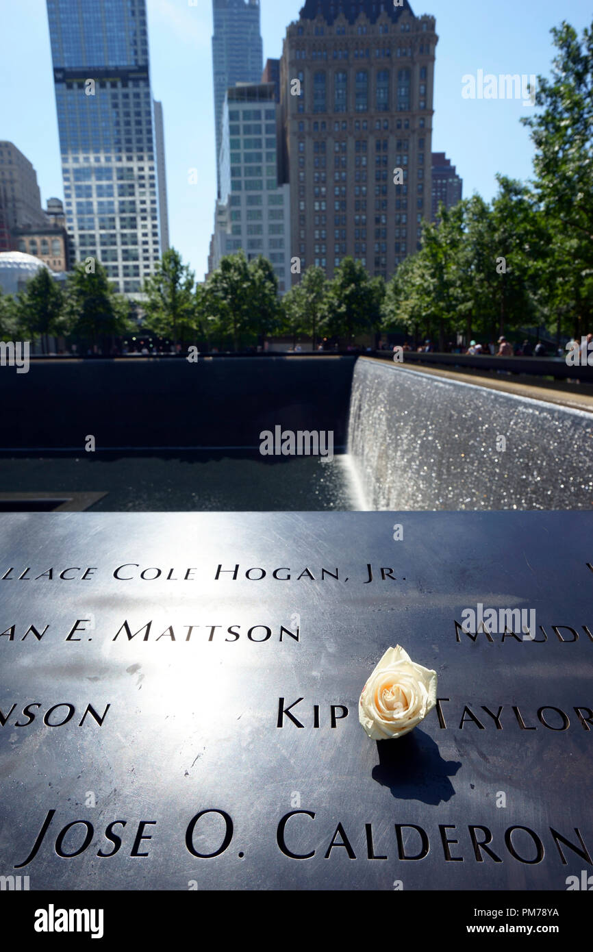 Rosa bianca che segna il giorno del compleanno di vittime di 9/11 attentato terroristico a Torri Gemelle. National 9/11 Memorial.La parte inferiore di Manhattan.New York City.USA Foto Stock