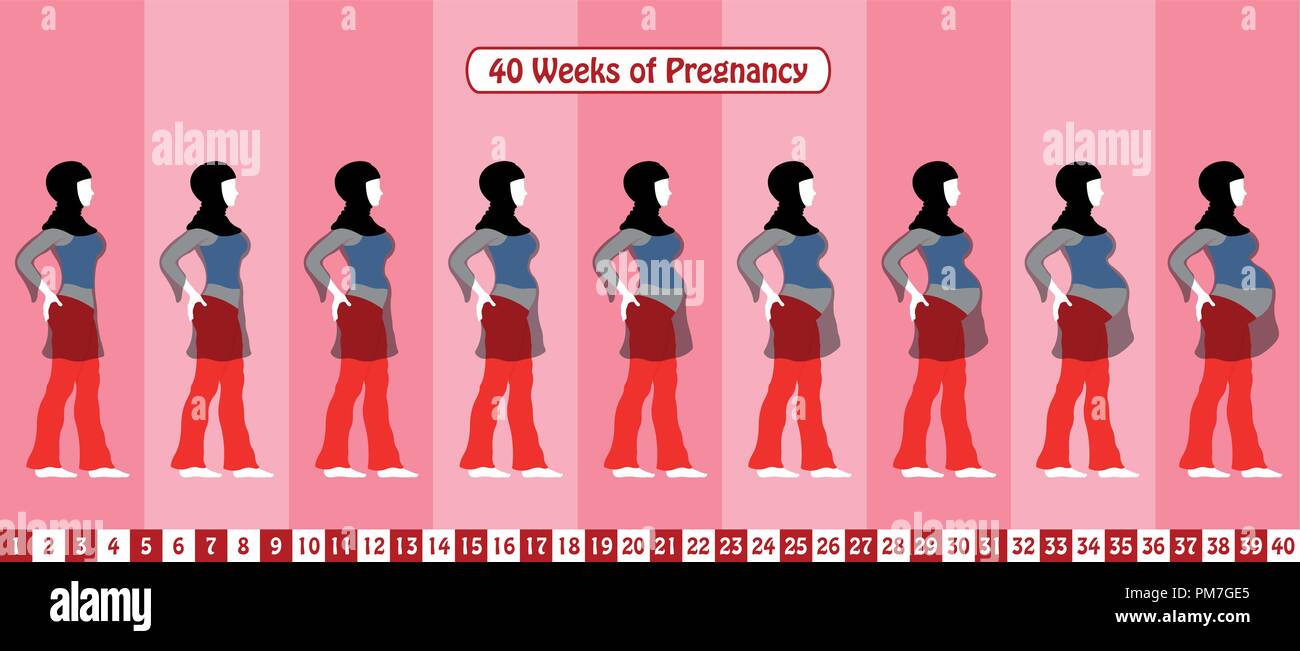 40 Settimane Di Gravidanza Con Un Musulmano Donna Incinta Indossa Velo Religioso E Abito Trasparente Tutti Gli Oggetti E Gli Stadi Del Corpo Sono In Diversi Strati Immagine E Vettoriale Alamy