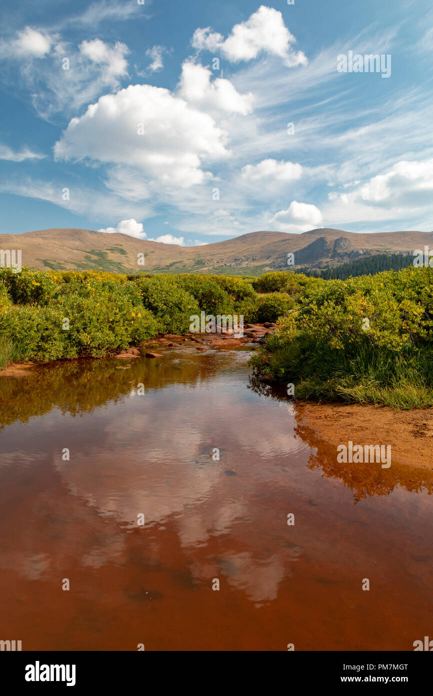 Georgetown, Colorado - un flusso nelle Montagne Rocciose a Guanella, passa al di sotto di 14,060 piedi di Mt. Bierstadt nel Mt. Evans Wilderness Area. Foto Stock