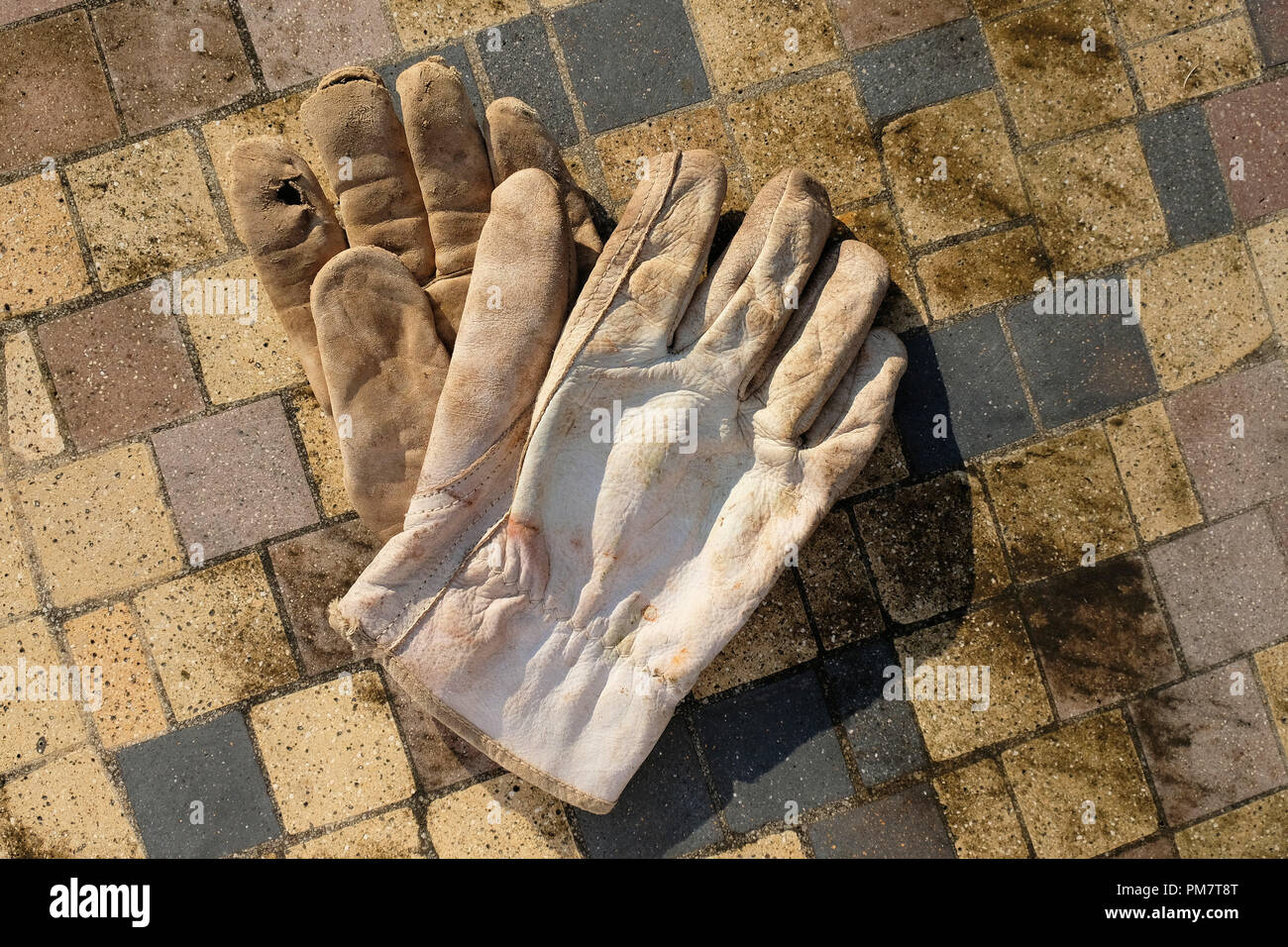 Lavori di cuoio guanti utilizzati per il giardinaggio. Foto Stock