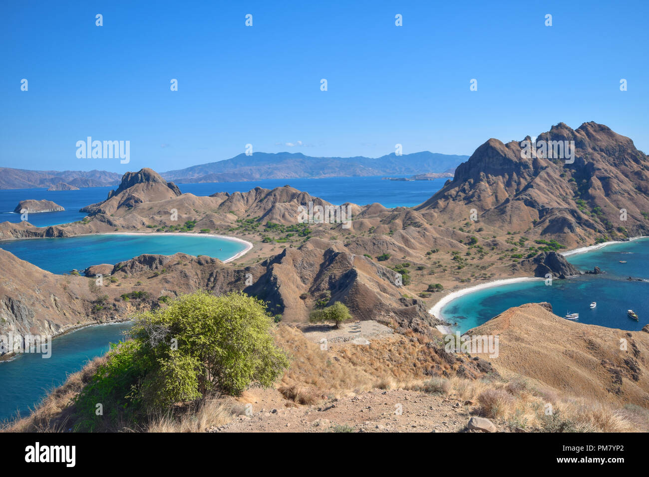 La bellissima Paradiso indonesiano di Padar isola nel Parco Nazionale di Komodo. Foto Stock