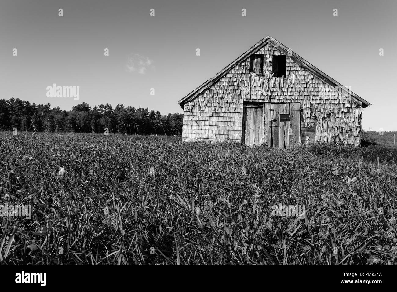 Un vecchio storico legno incorniciata e fienile incastrata a Andover, New Hampshire in bianco e nero. Foto Stock