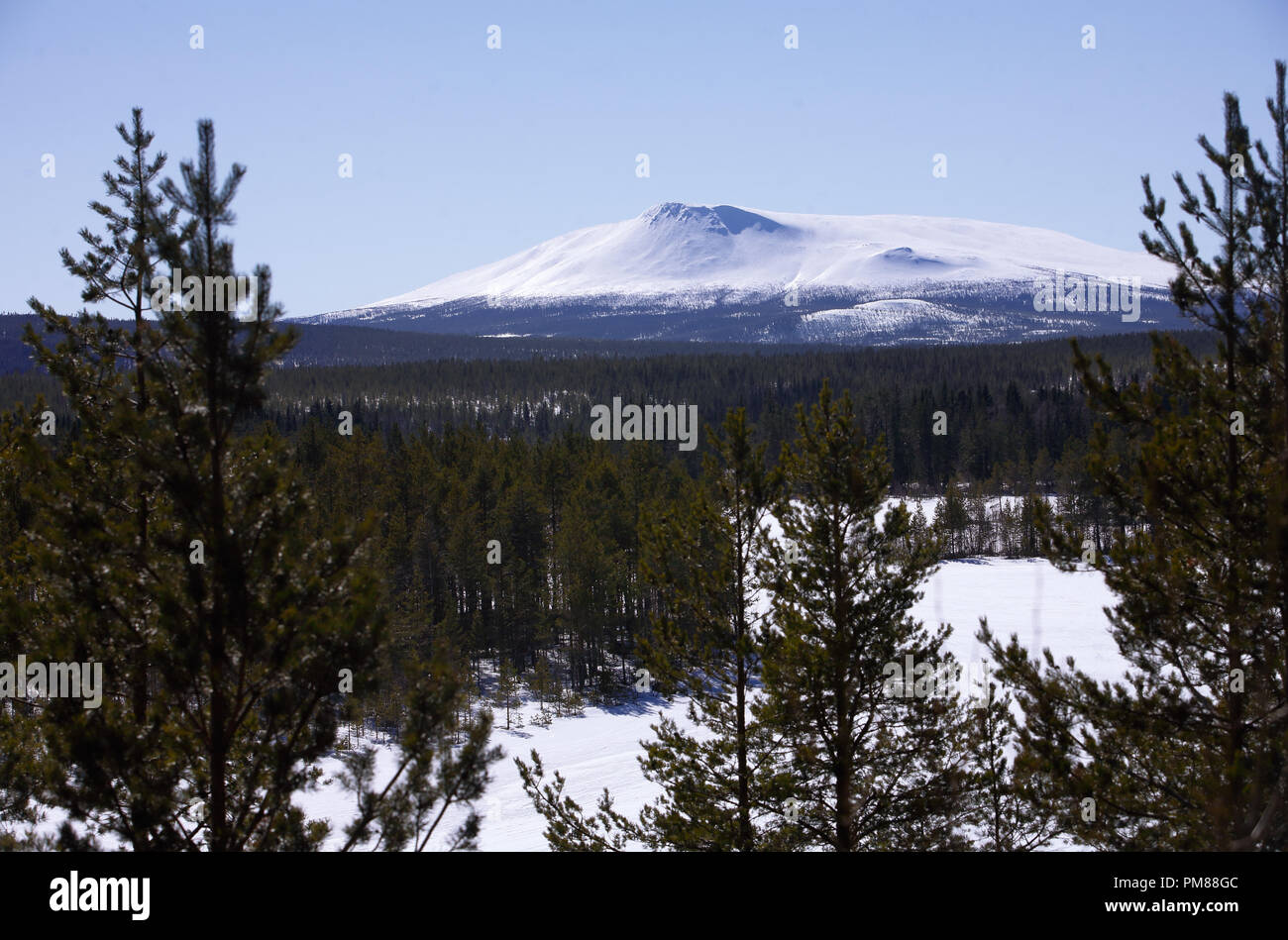La coperta di neve mount Sonfjallet nella provincia svedese di Harjedalen. Foto Stock