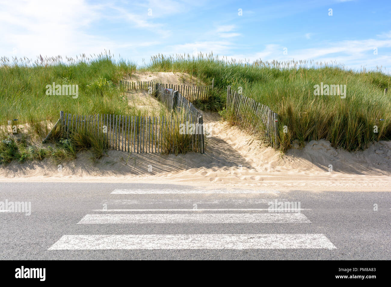 Un percorso delimitato da una staccionata di legno sulla duna di sabbia coperte con erbe selvatiche sulla costa bretone con un attraversamento pedonale sulla strada del mare. Foto Stock