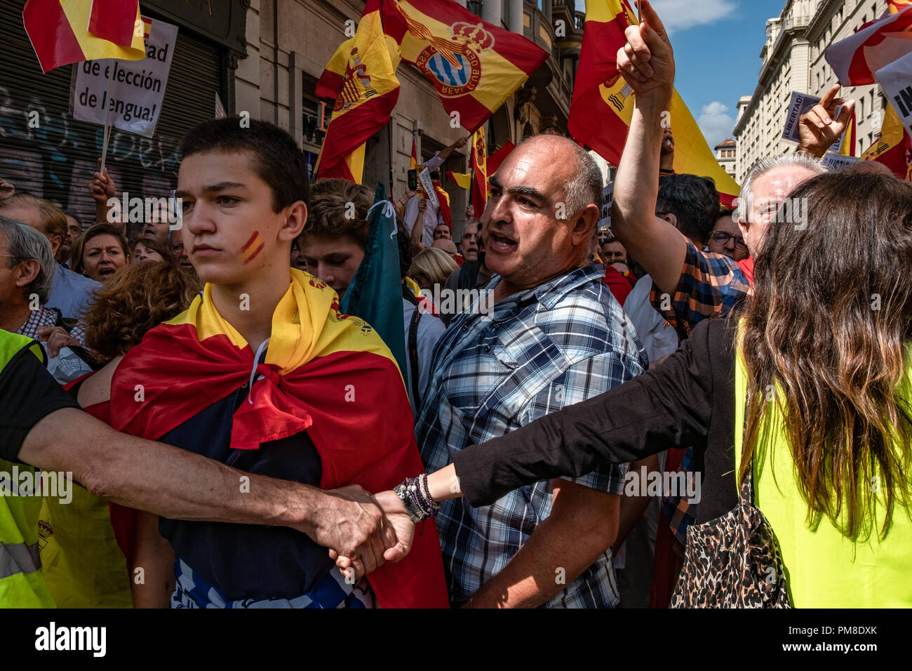 Una gioventù è visto trattati in una bandiera con il suo volto dipinto con le bandiere durante la protesta. Più di 1.500 persone chiamato dagli enti a favore della lingua spagnola hanno marciato attraverso il centro di Barcellona per protestare contro l'imposizione della lingua catalana in spagnolo. Alla fine della dimostrazione, gruppi di nazionalisti spagnoli e catalani hanno sovereignists stato affrontato sotto la vigilanza della polizia catalana. Foto Stock